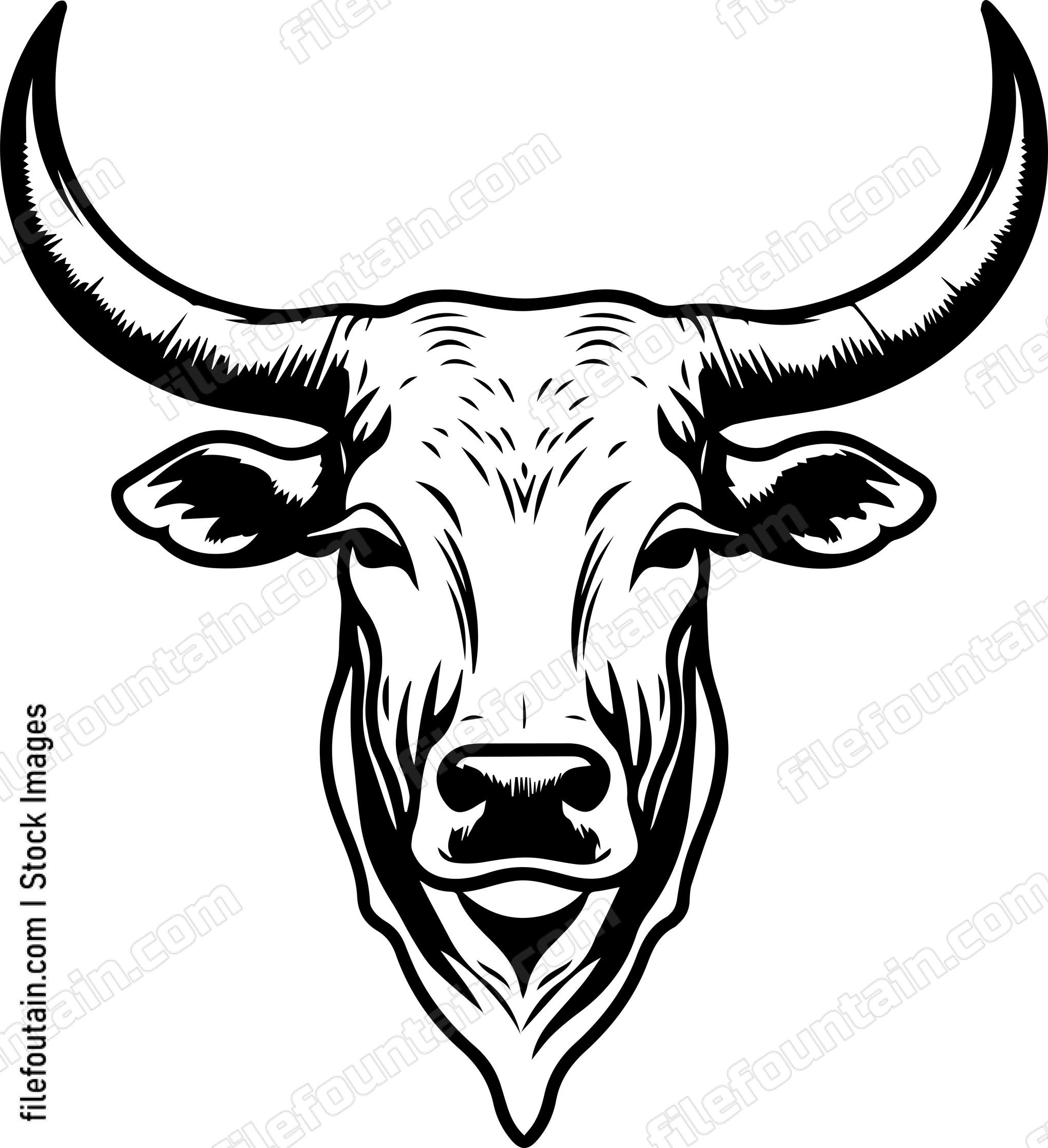 Texas Longhorn