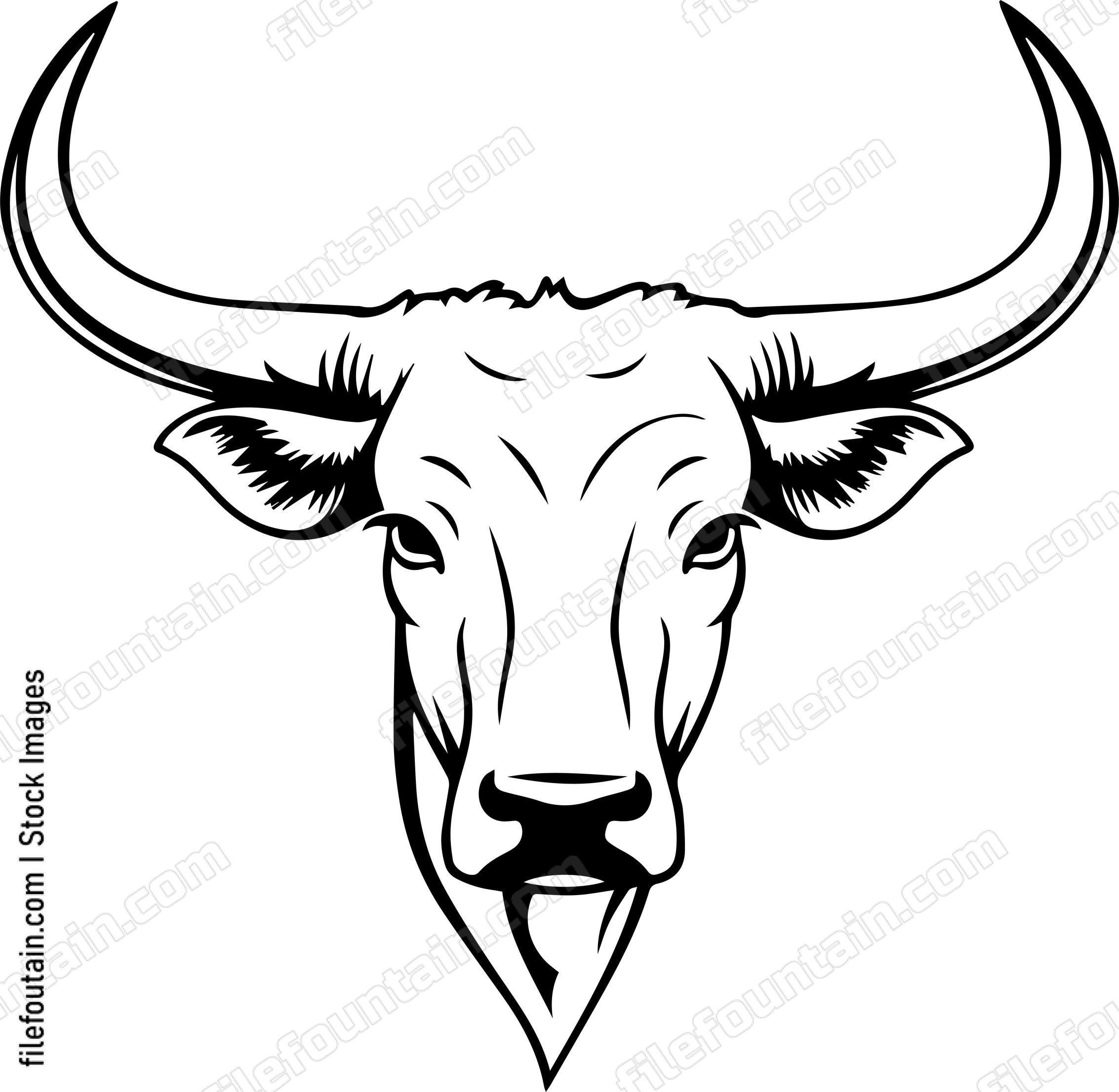 Texas Longhorn