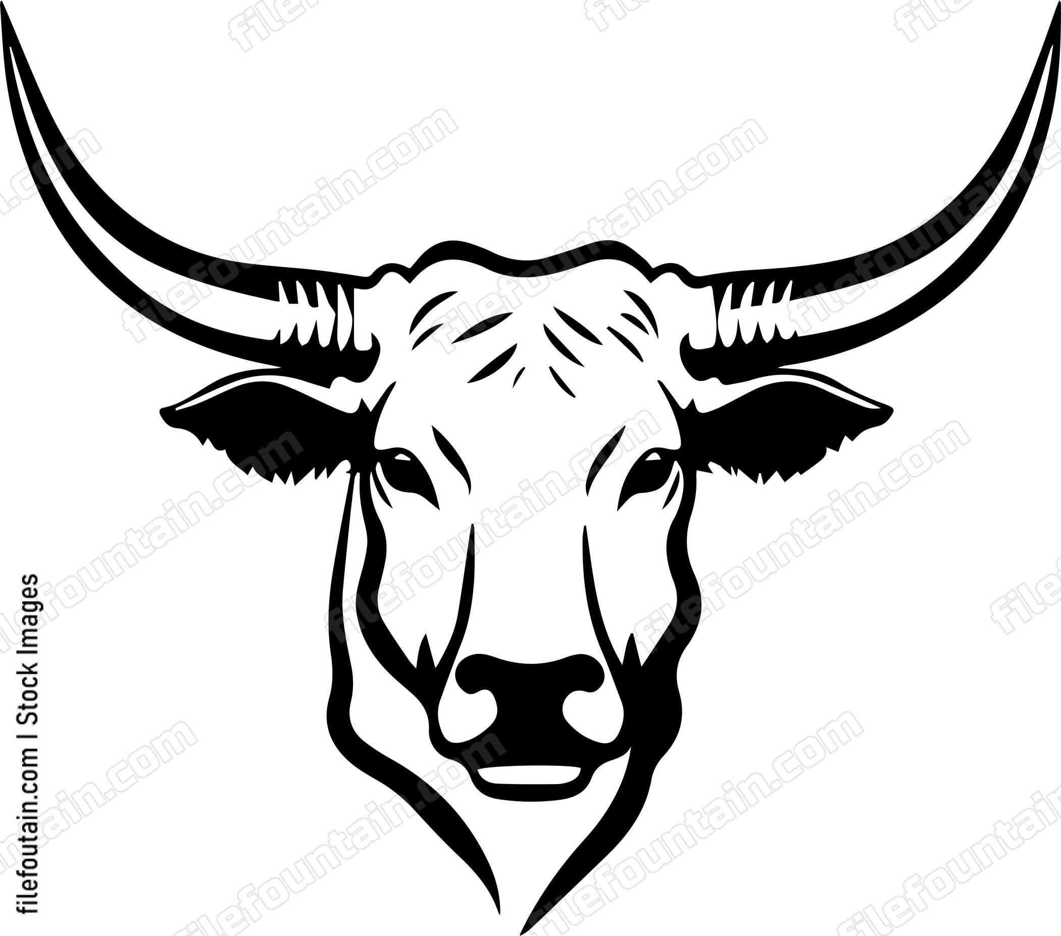 Texas Longhorn
