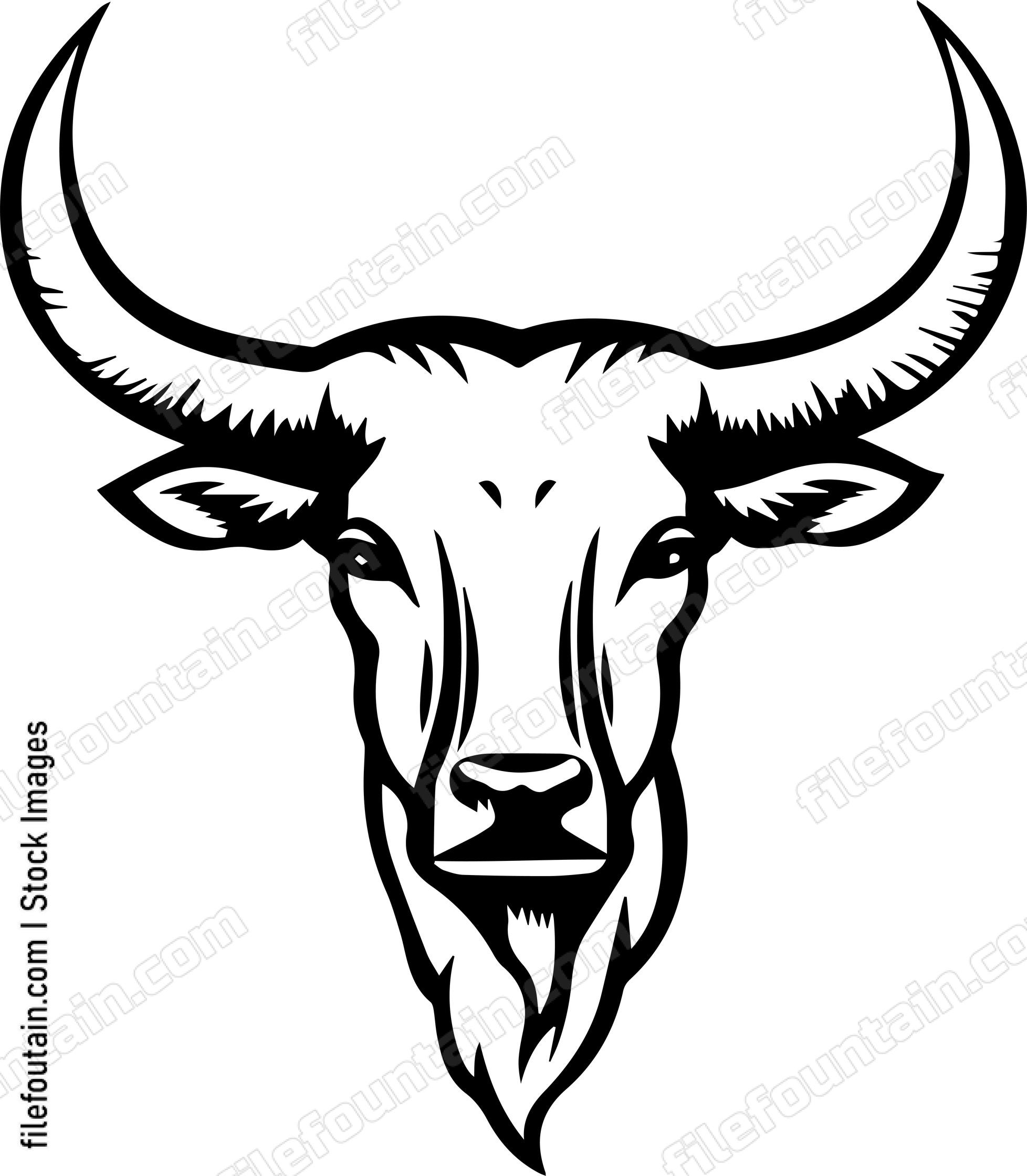 Texas Longhorn