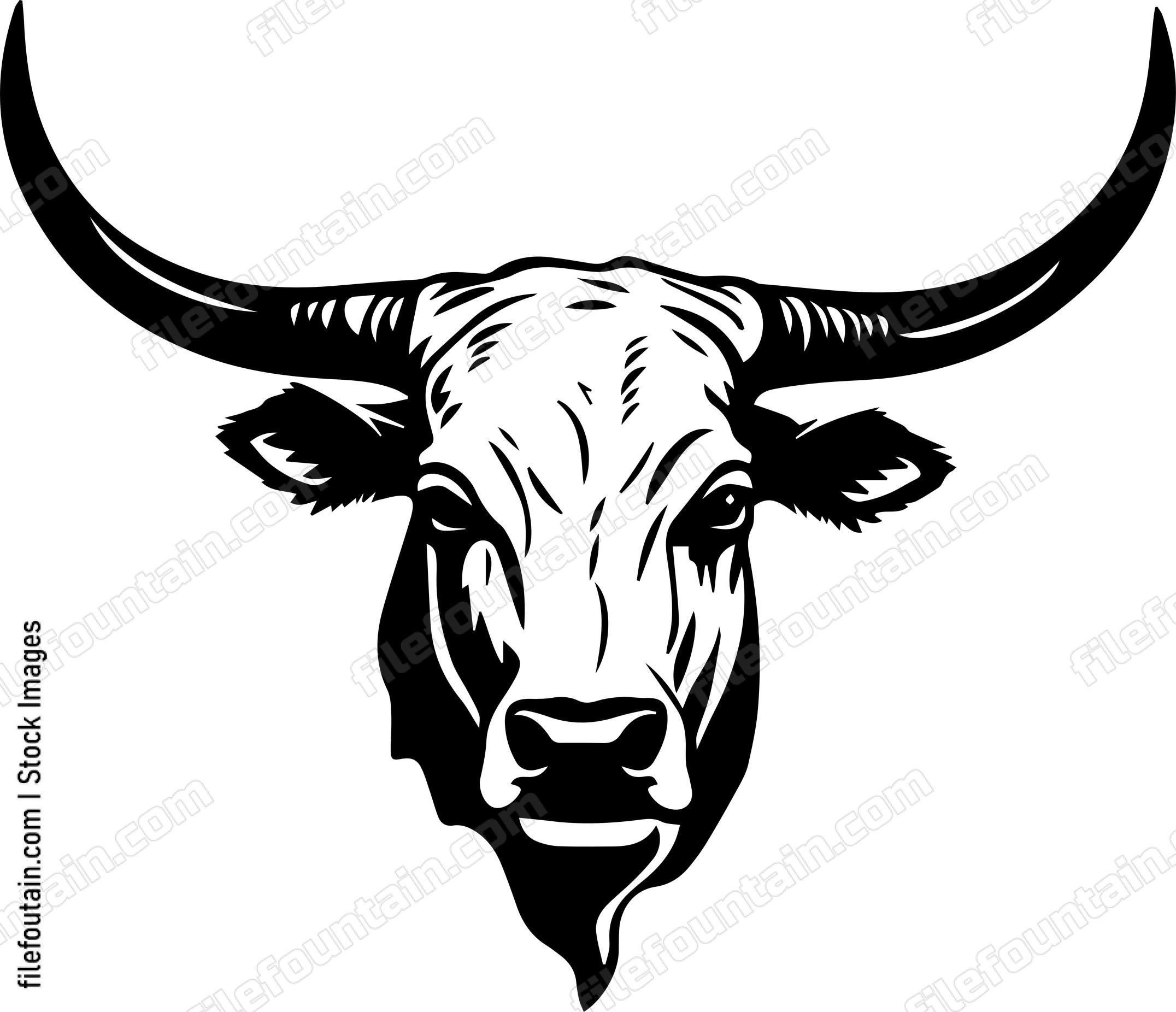 Texas Longhorn