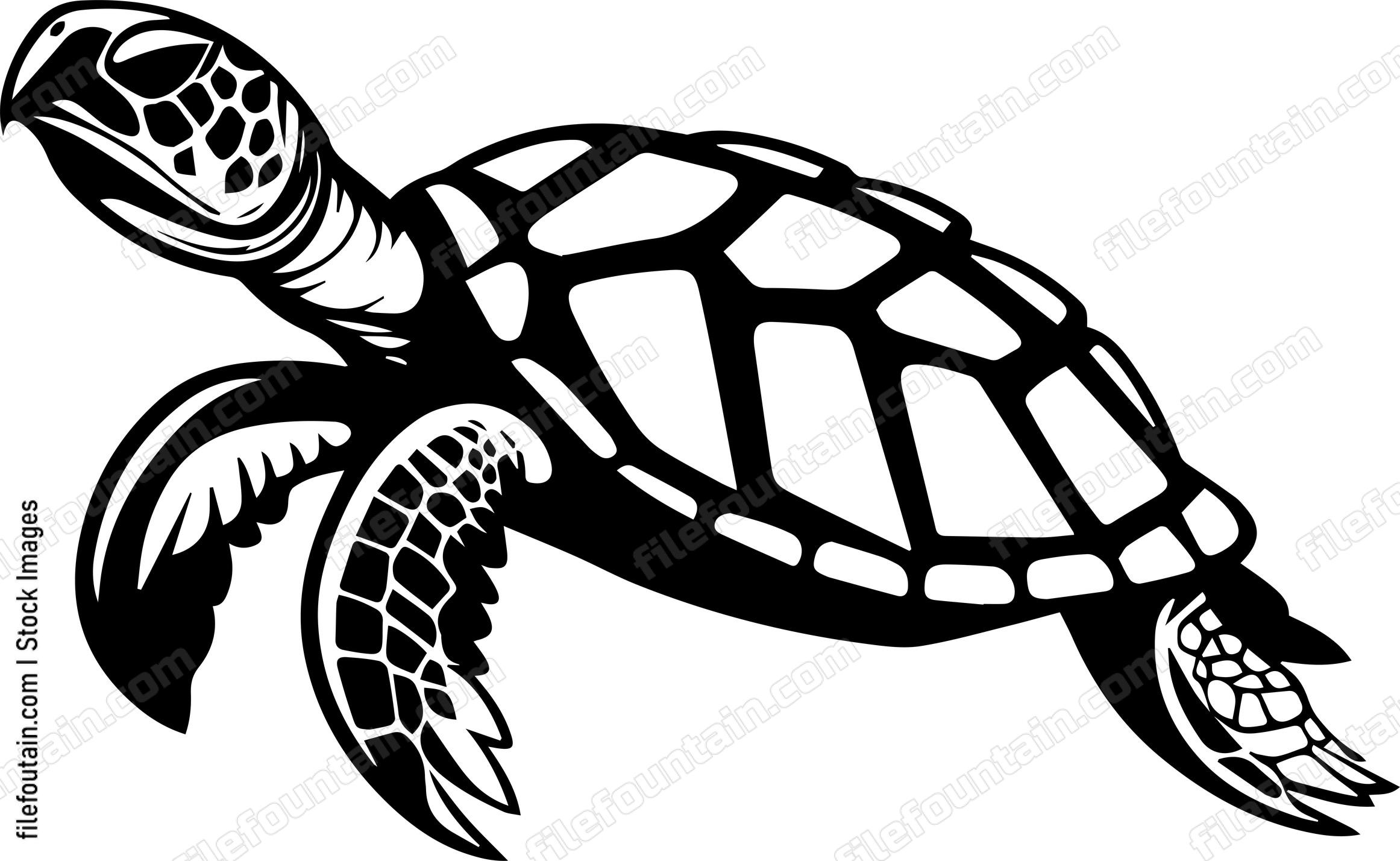 Turtle