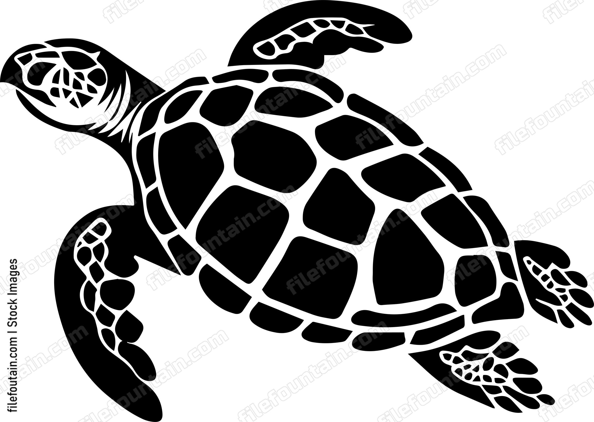 Turtle