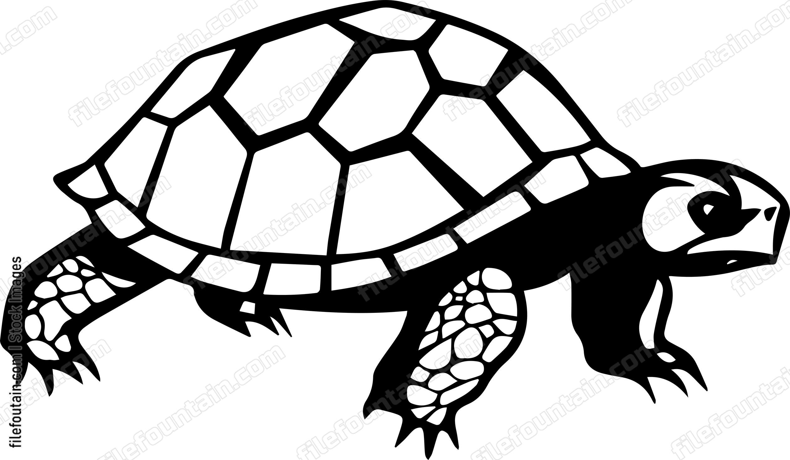Turtle