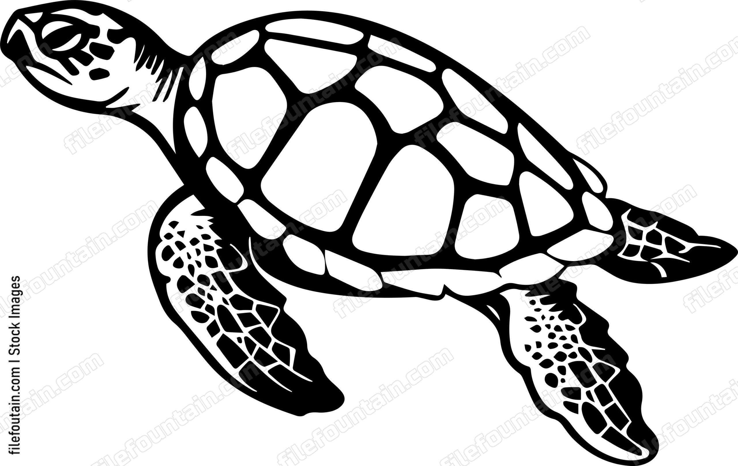 Turtle