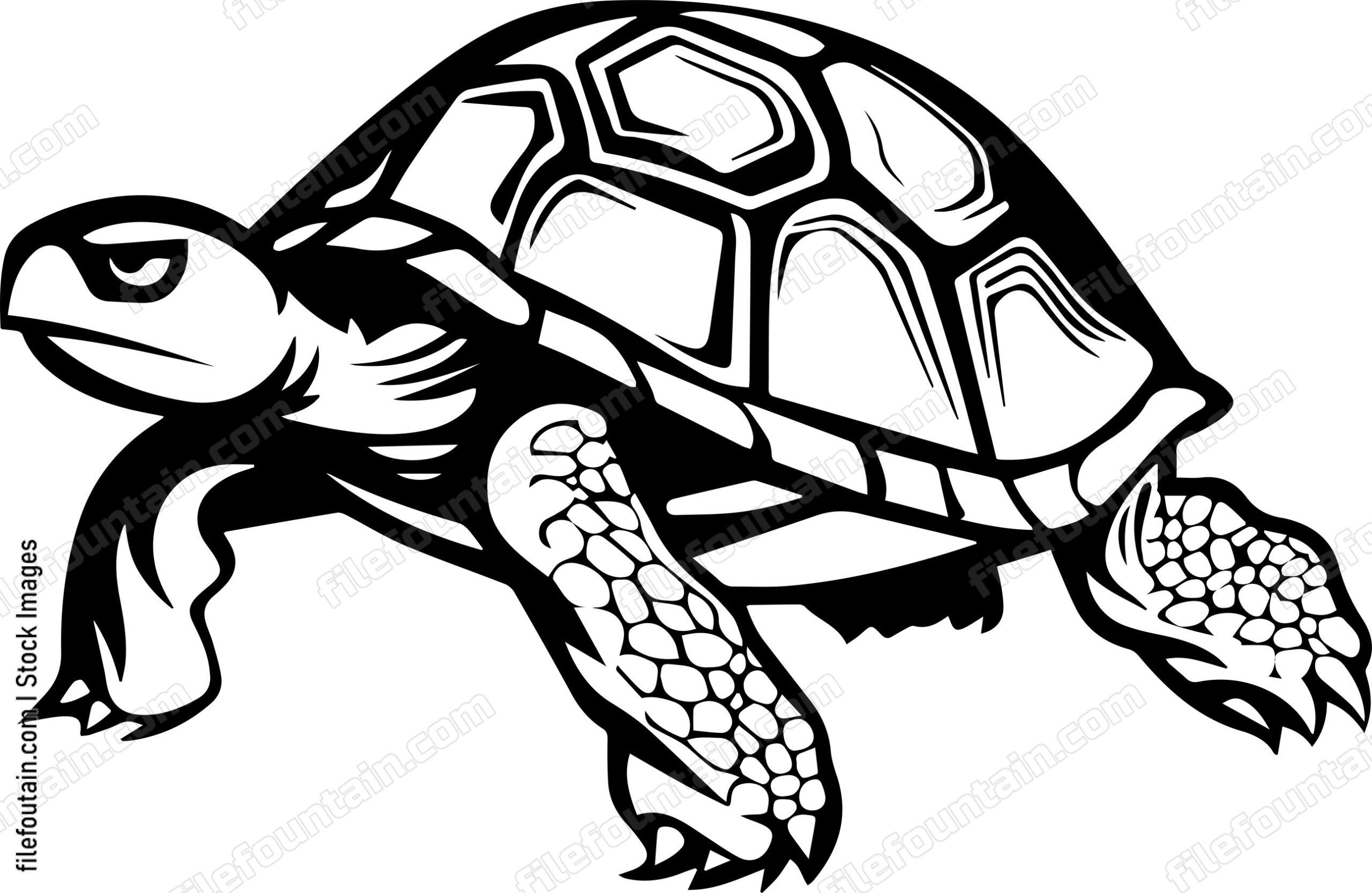 Turtle