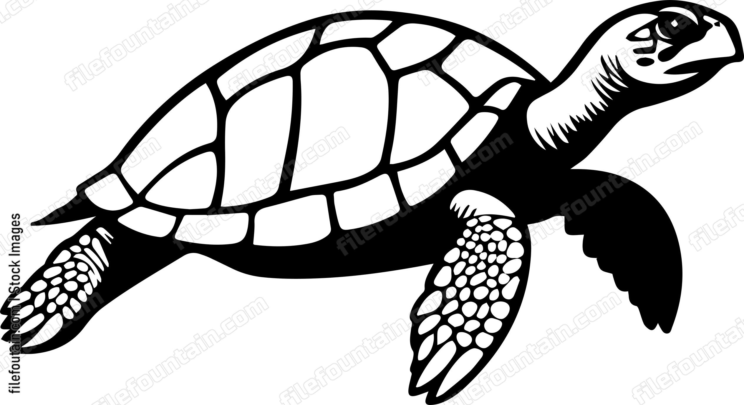 Turtle