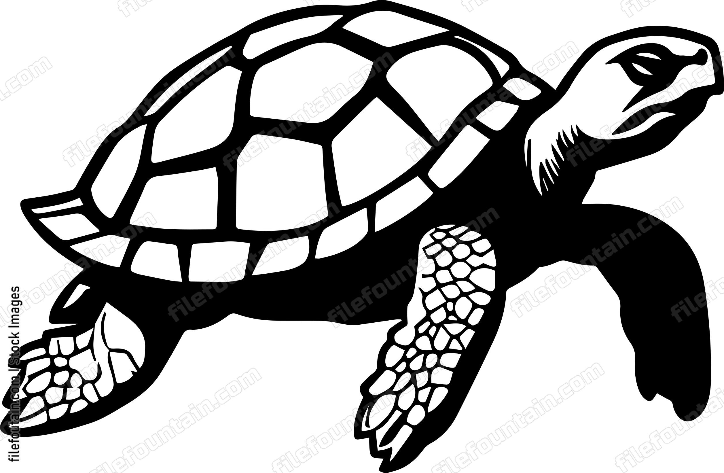 Turtle