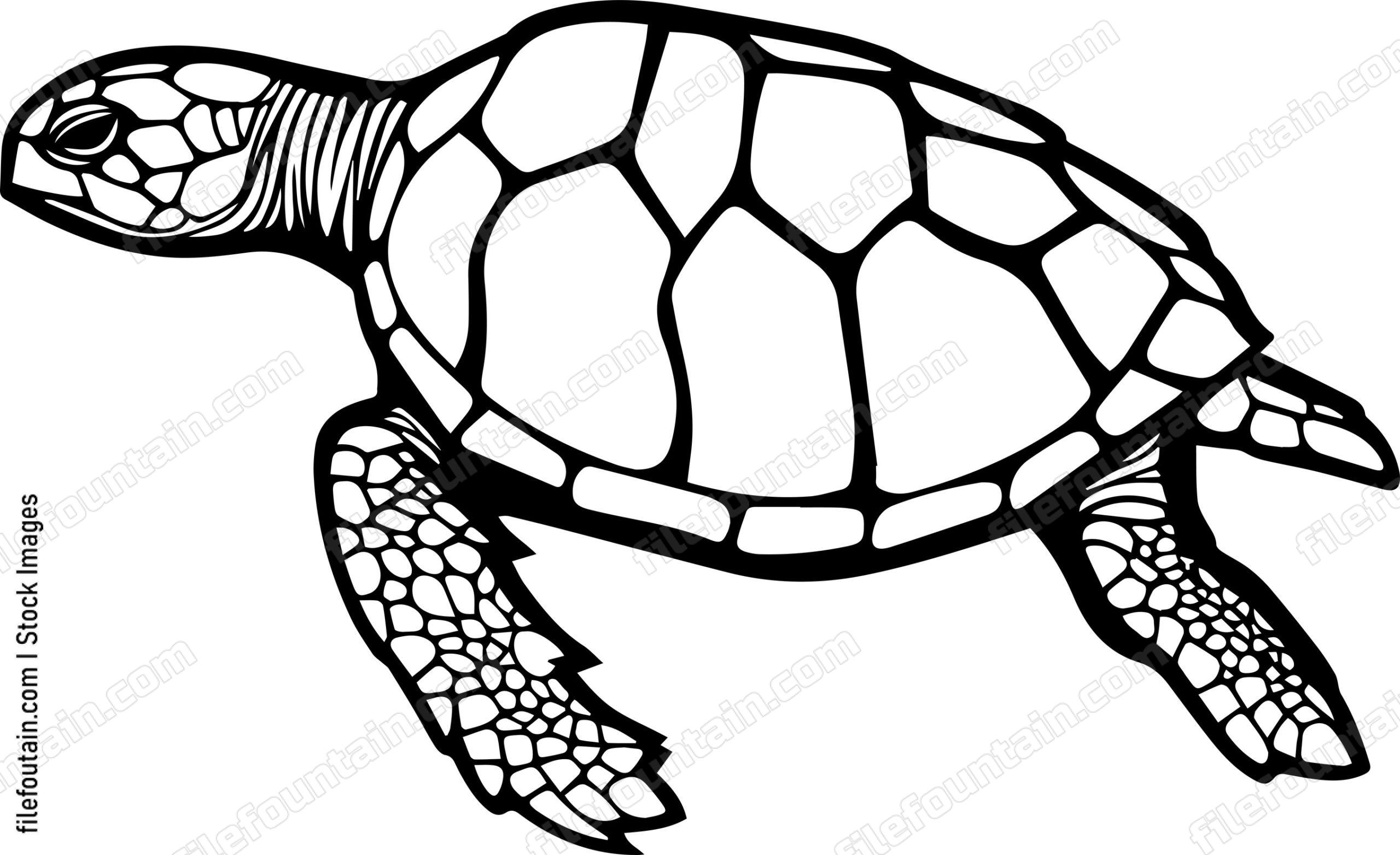 Turtle