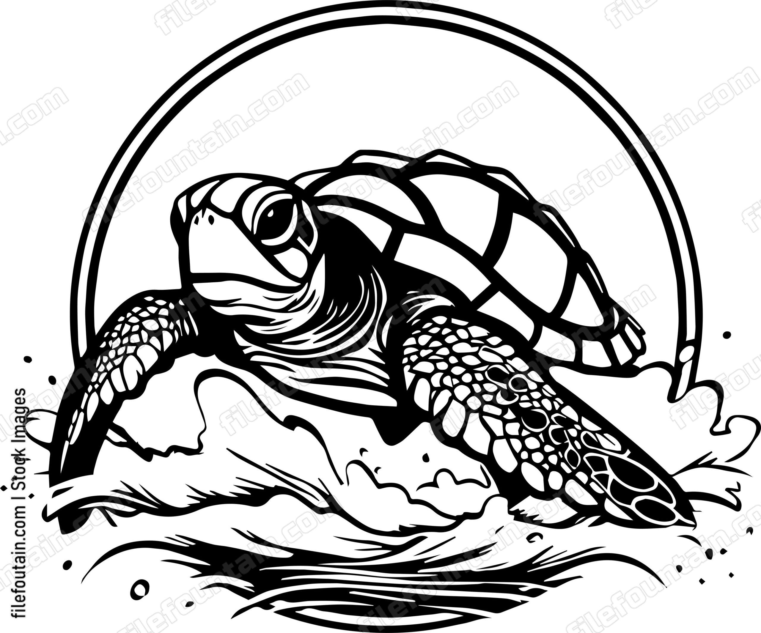 Turtle Swimming