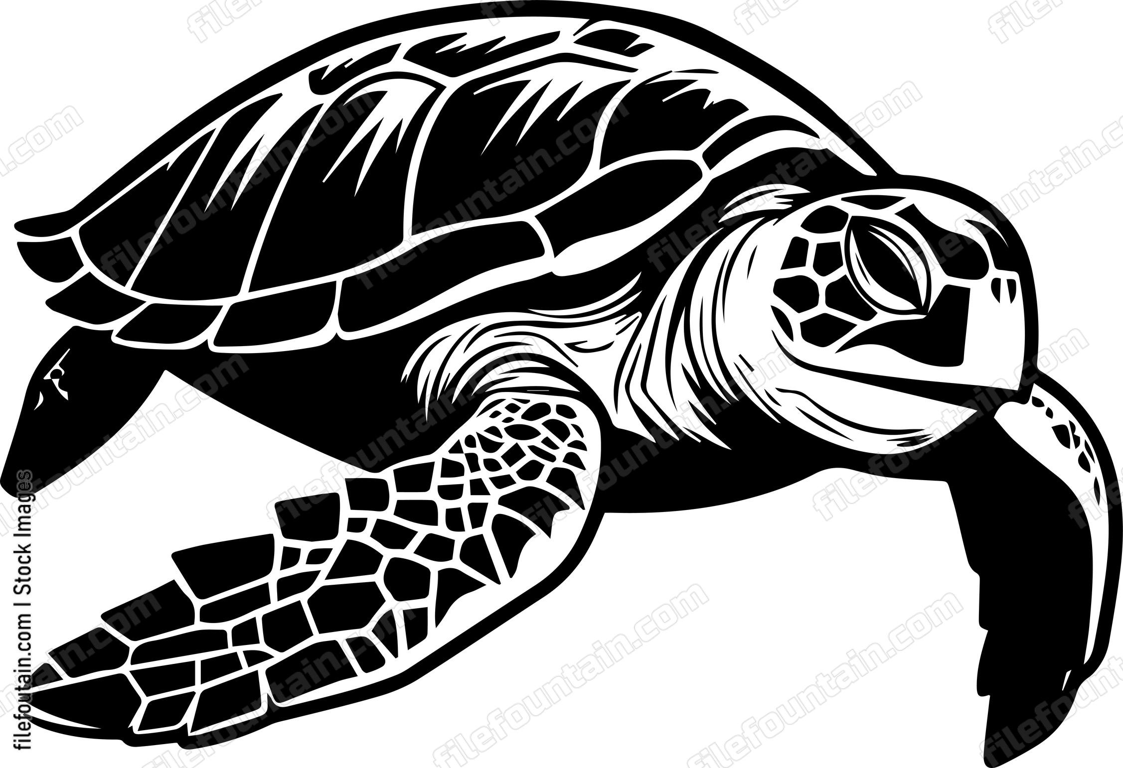 Turtle Swimming