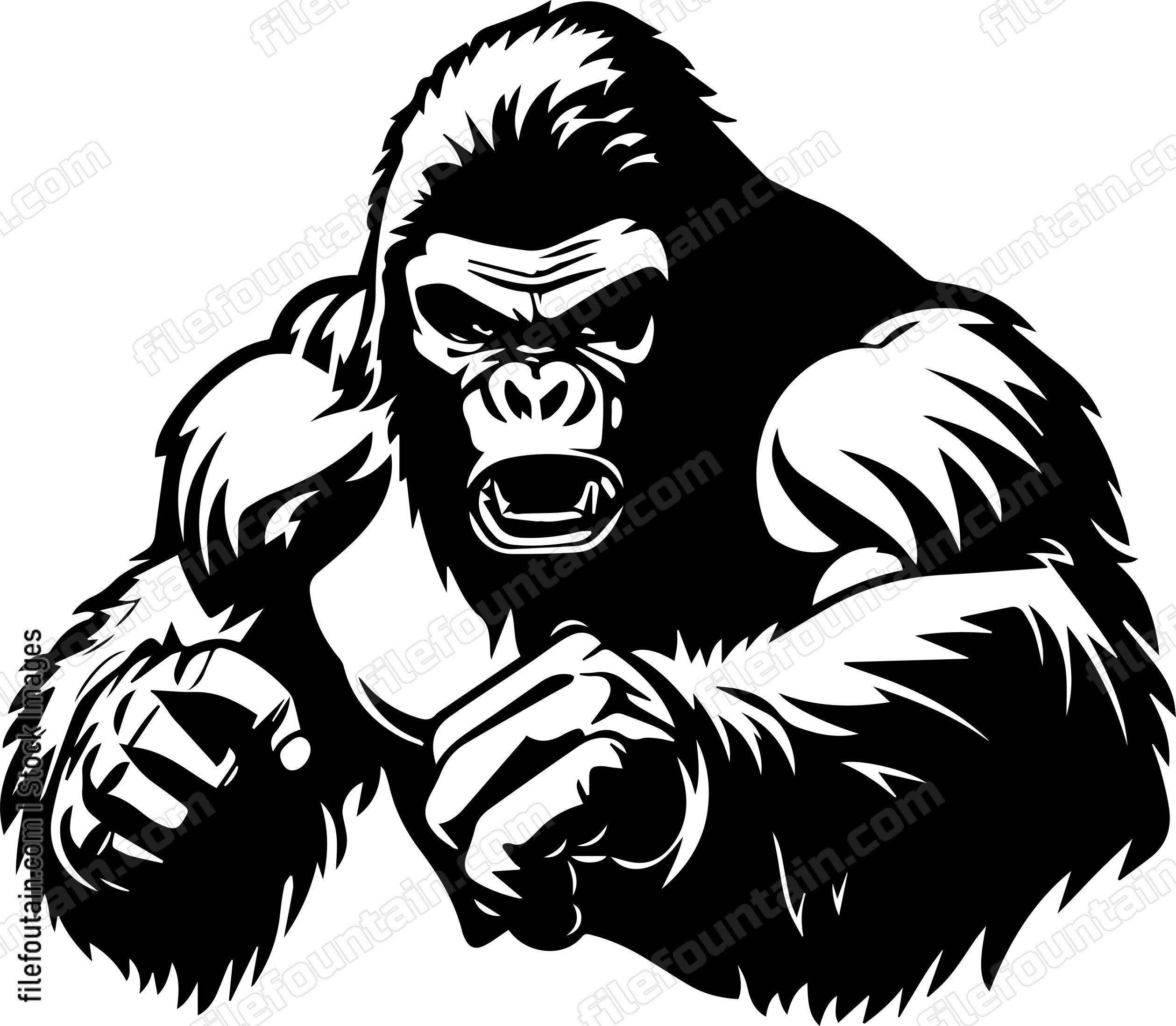 Vicious Angry Silverback Gorilla