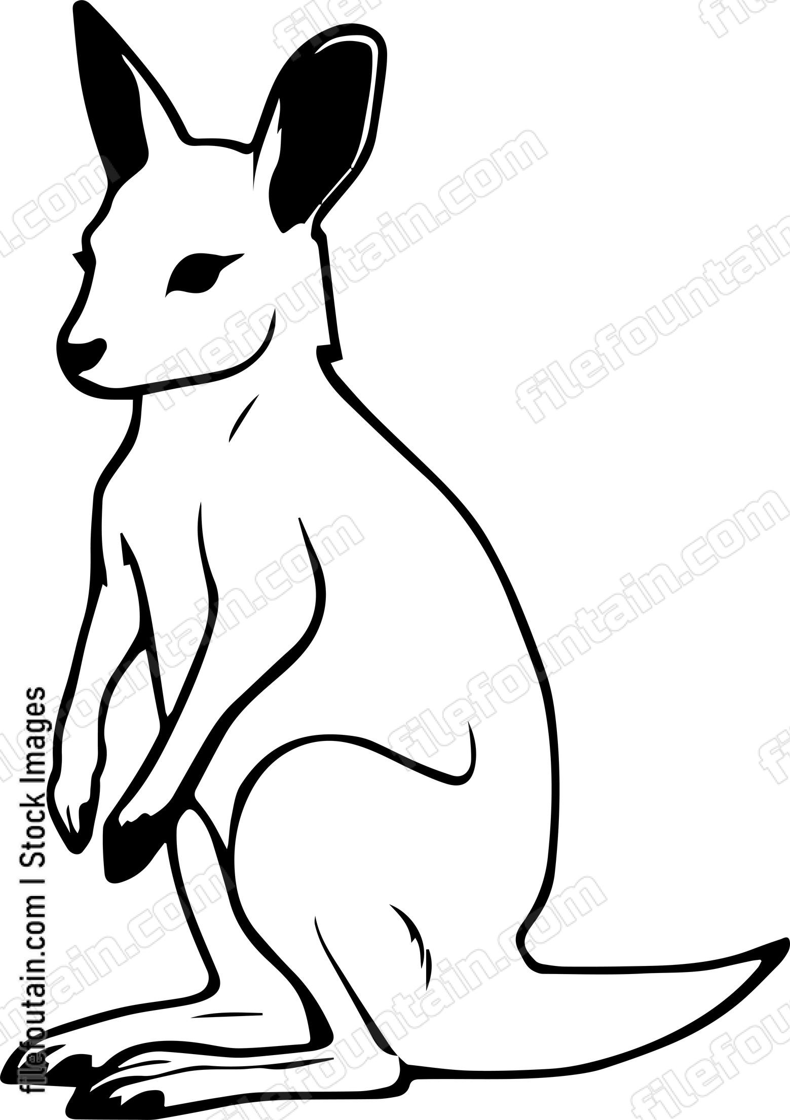 Wallaby