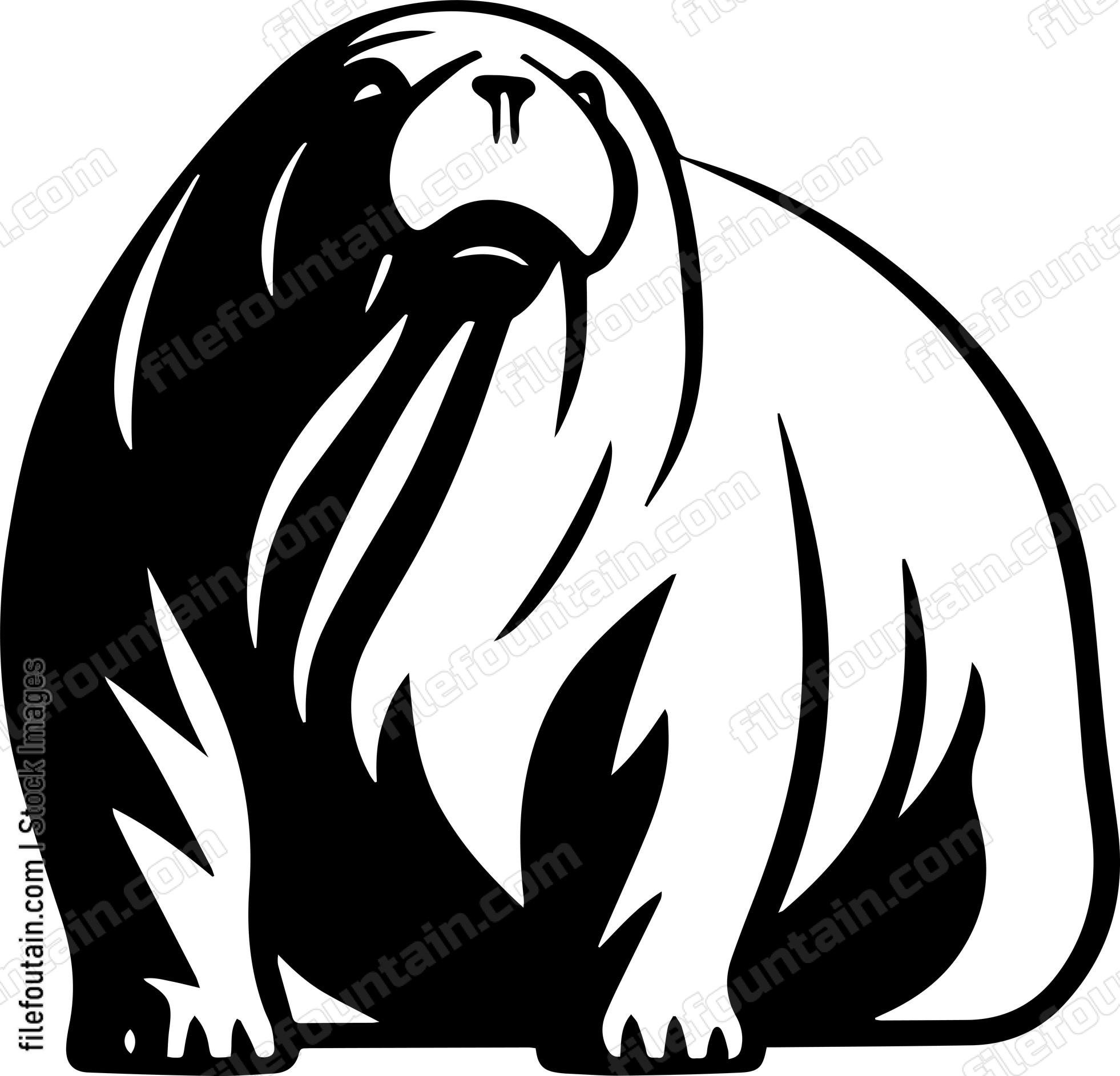 Walrus