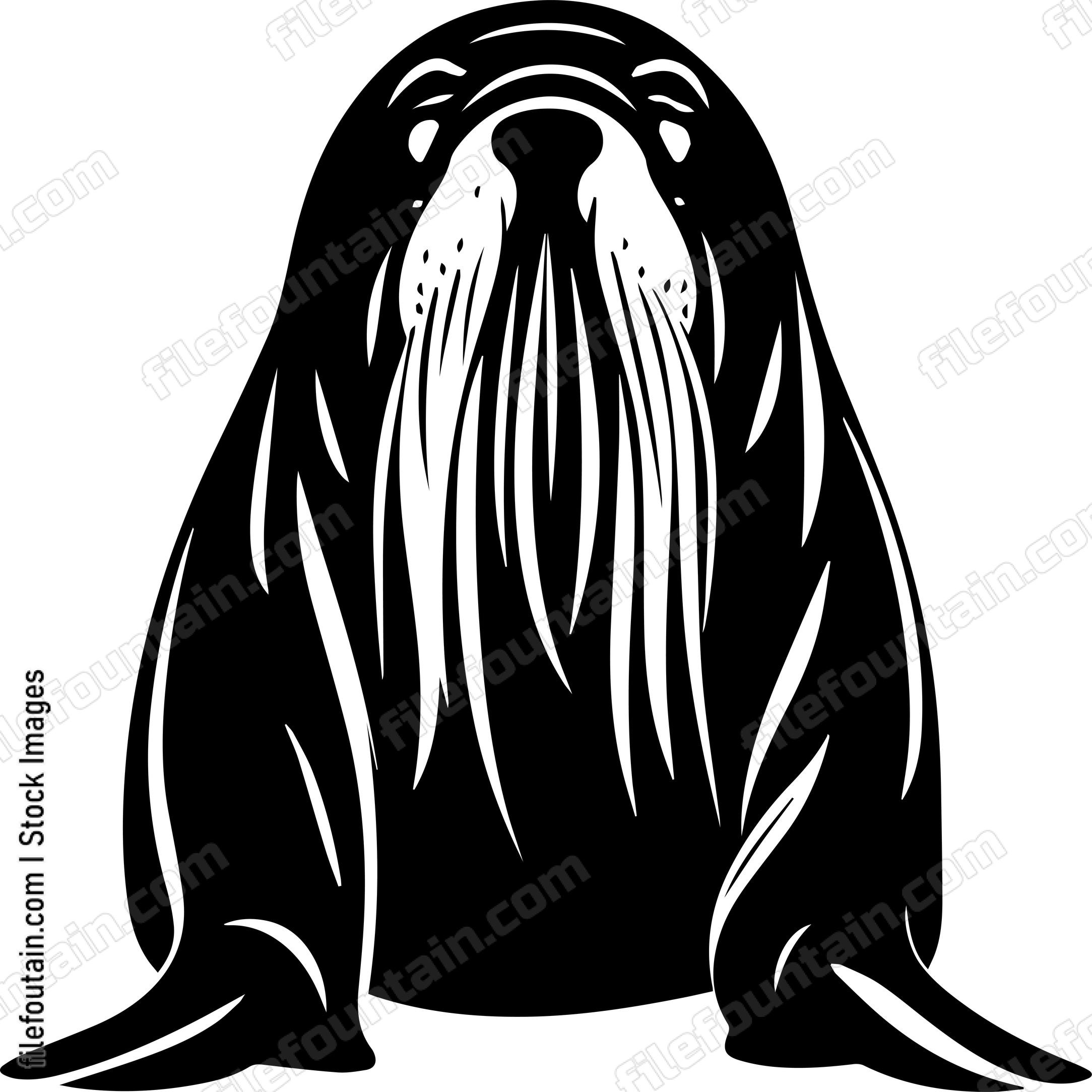 Walrus