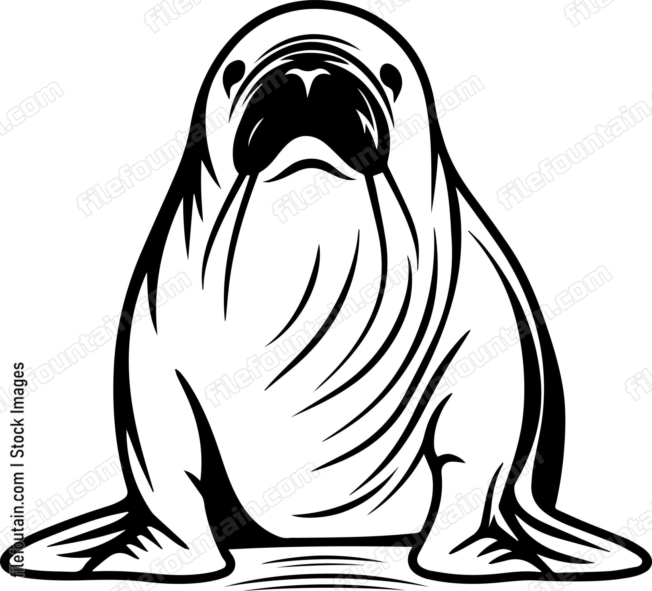 Walrus
