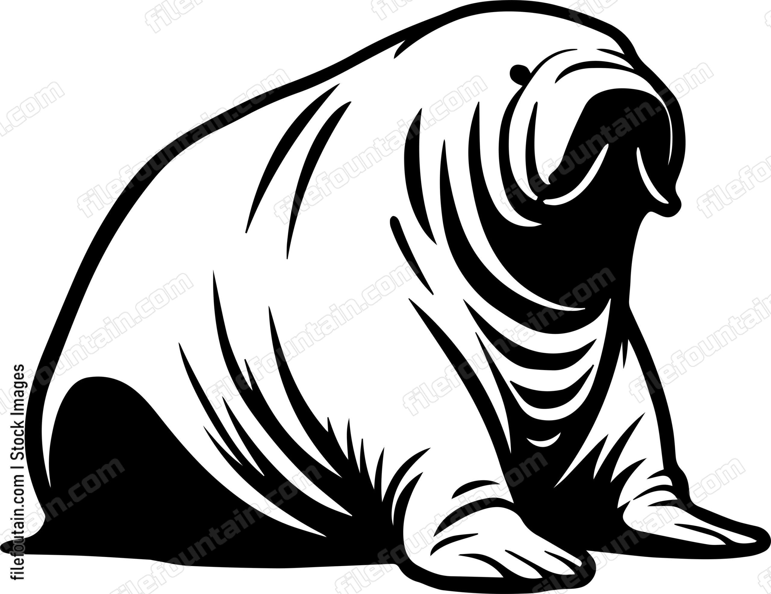 Walrus