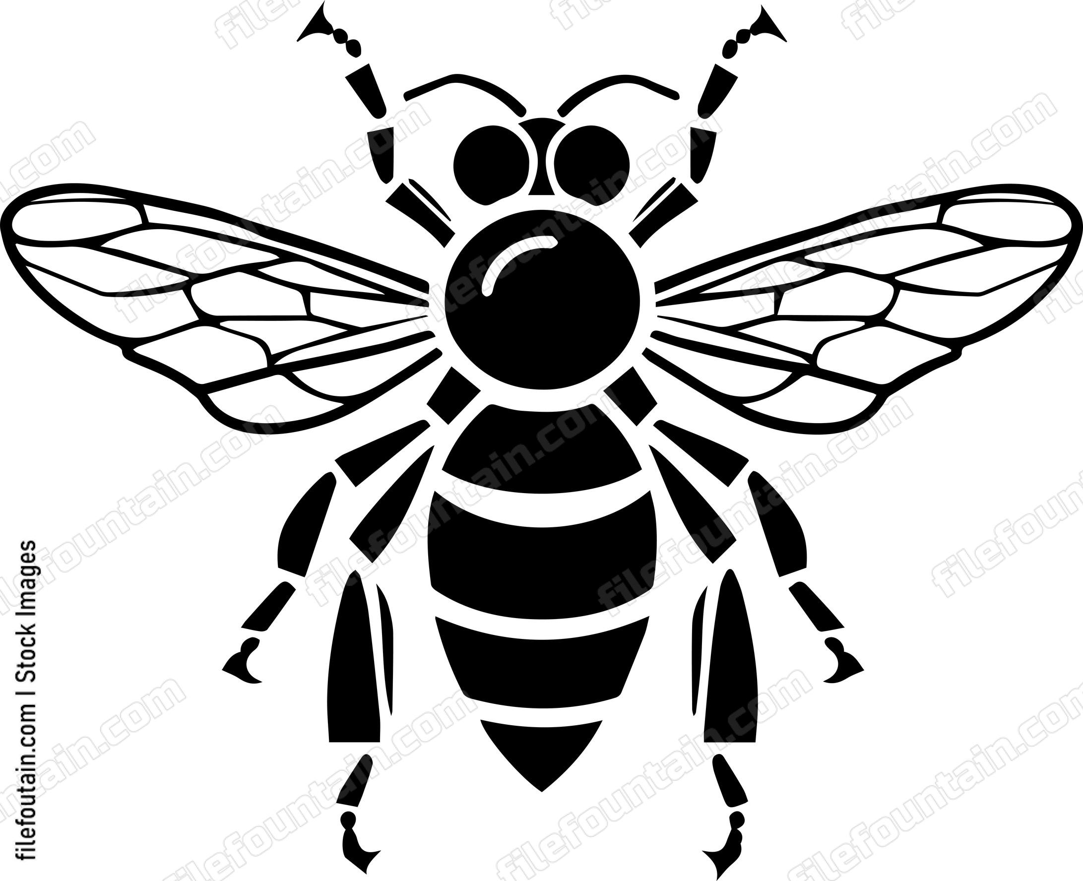 Wasp