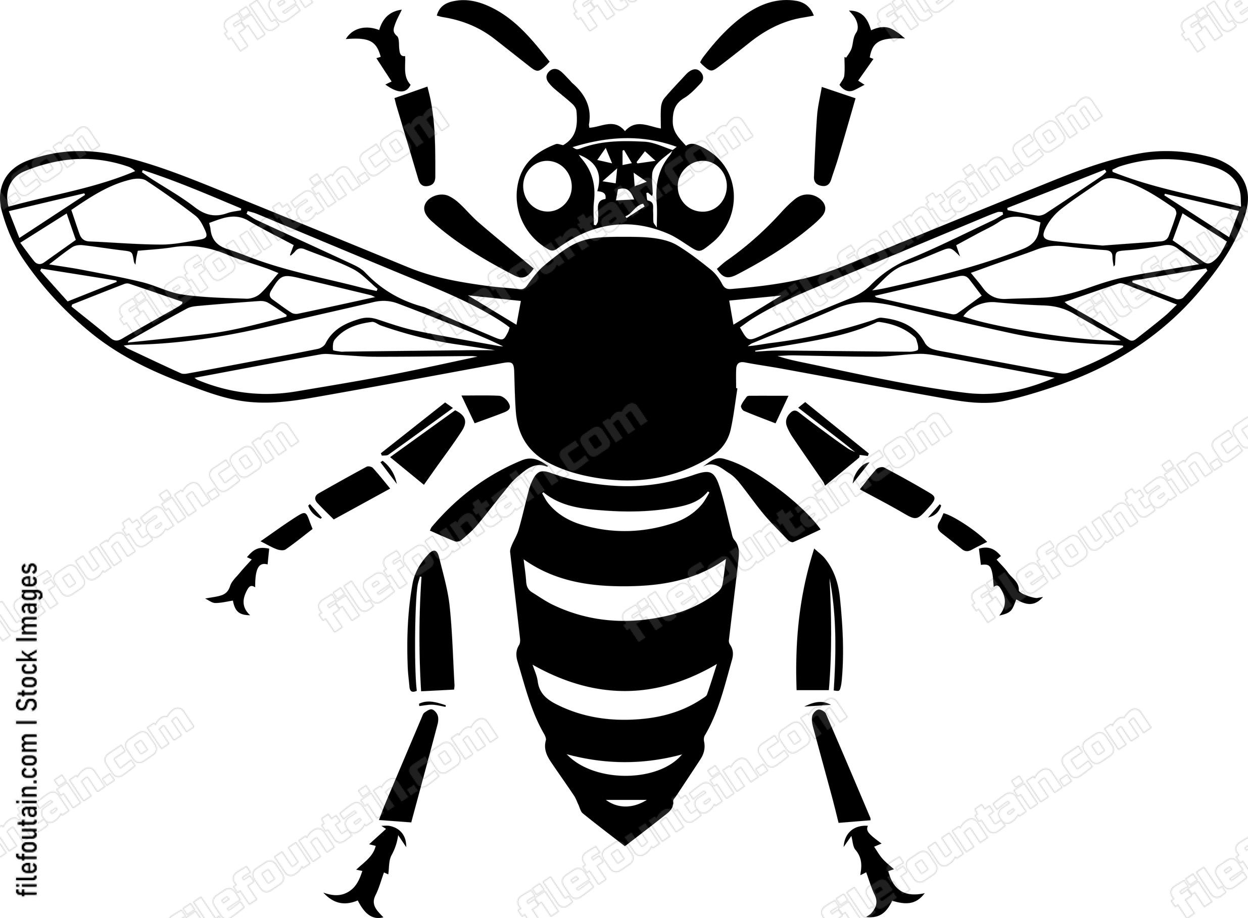 Wasp