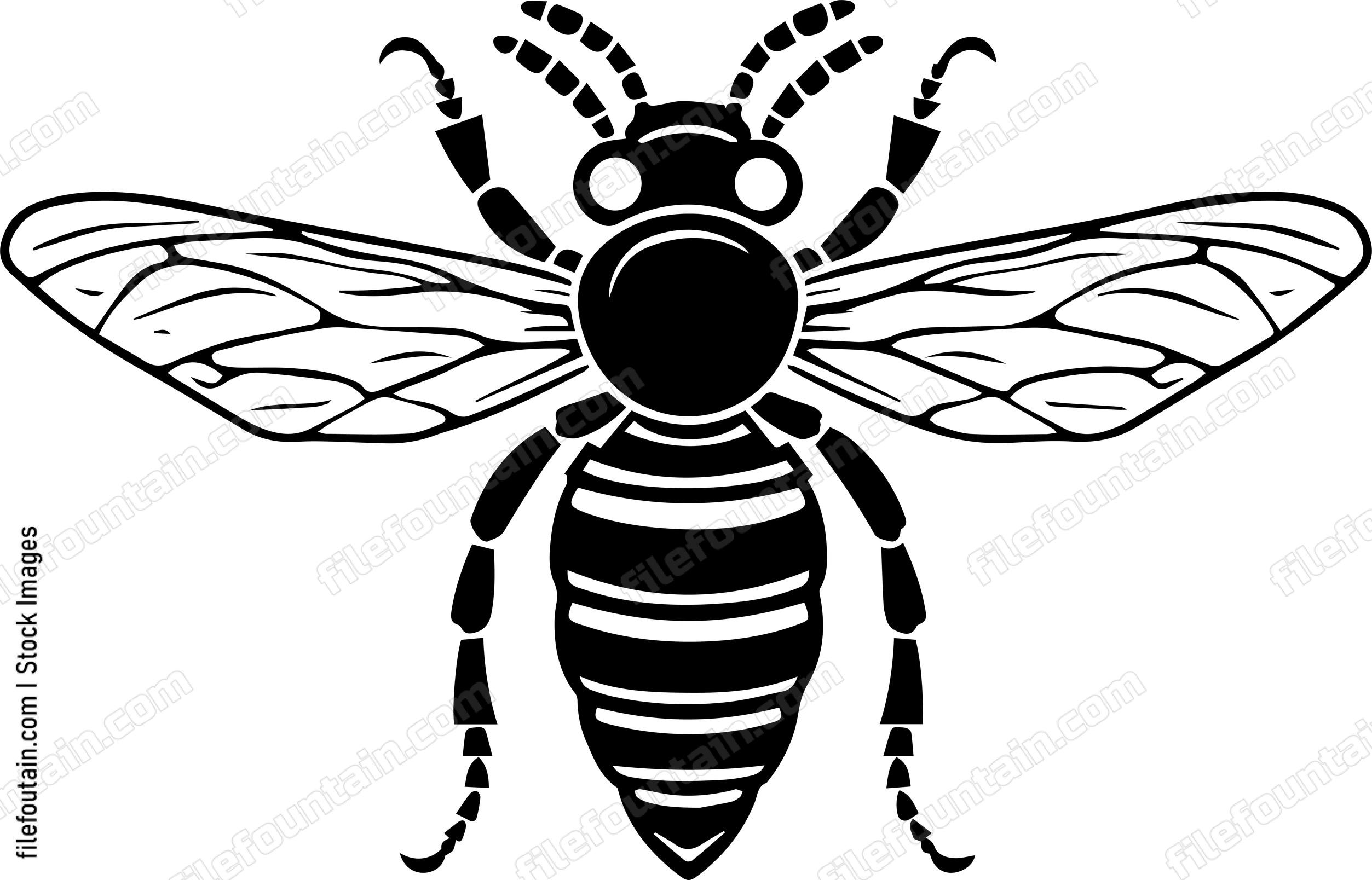 Wasp