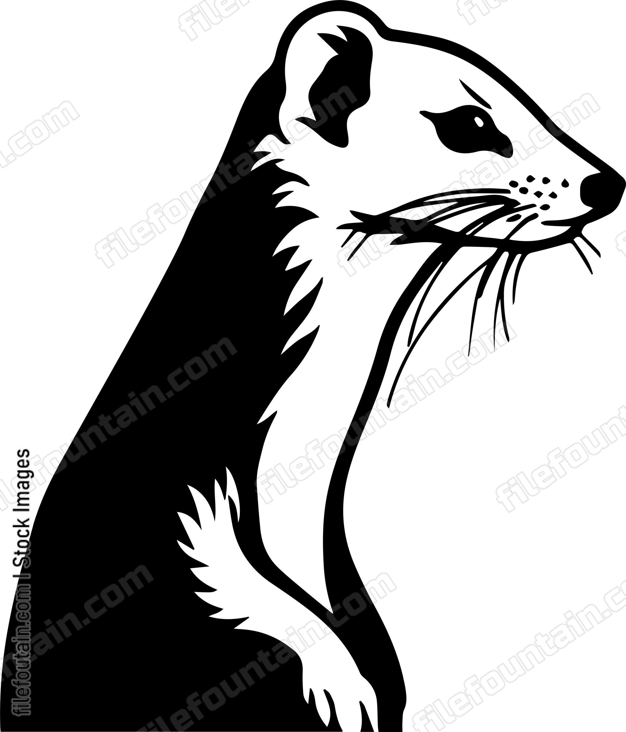 Weasel