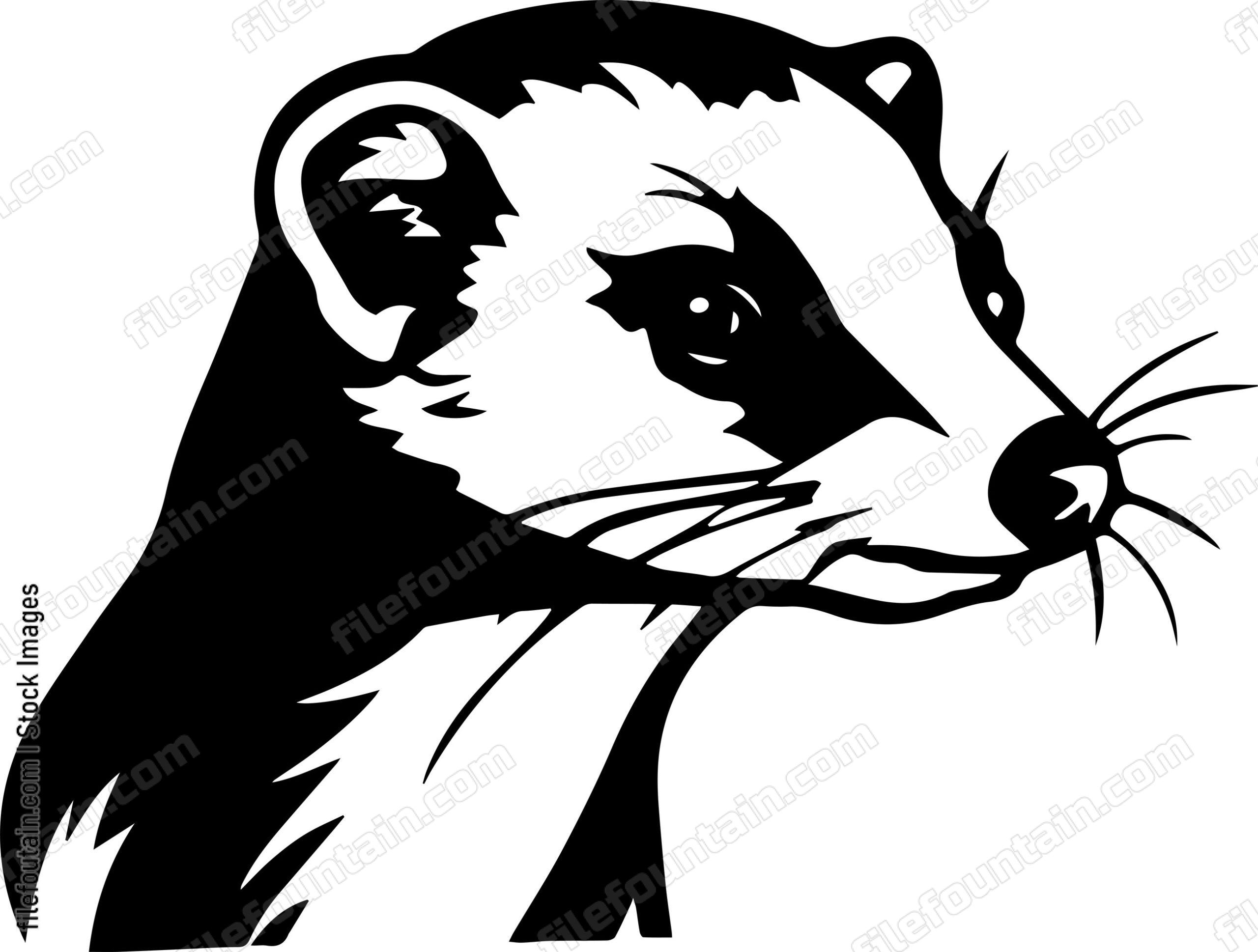 Weasel