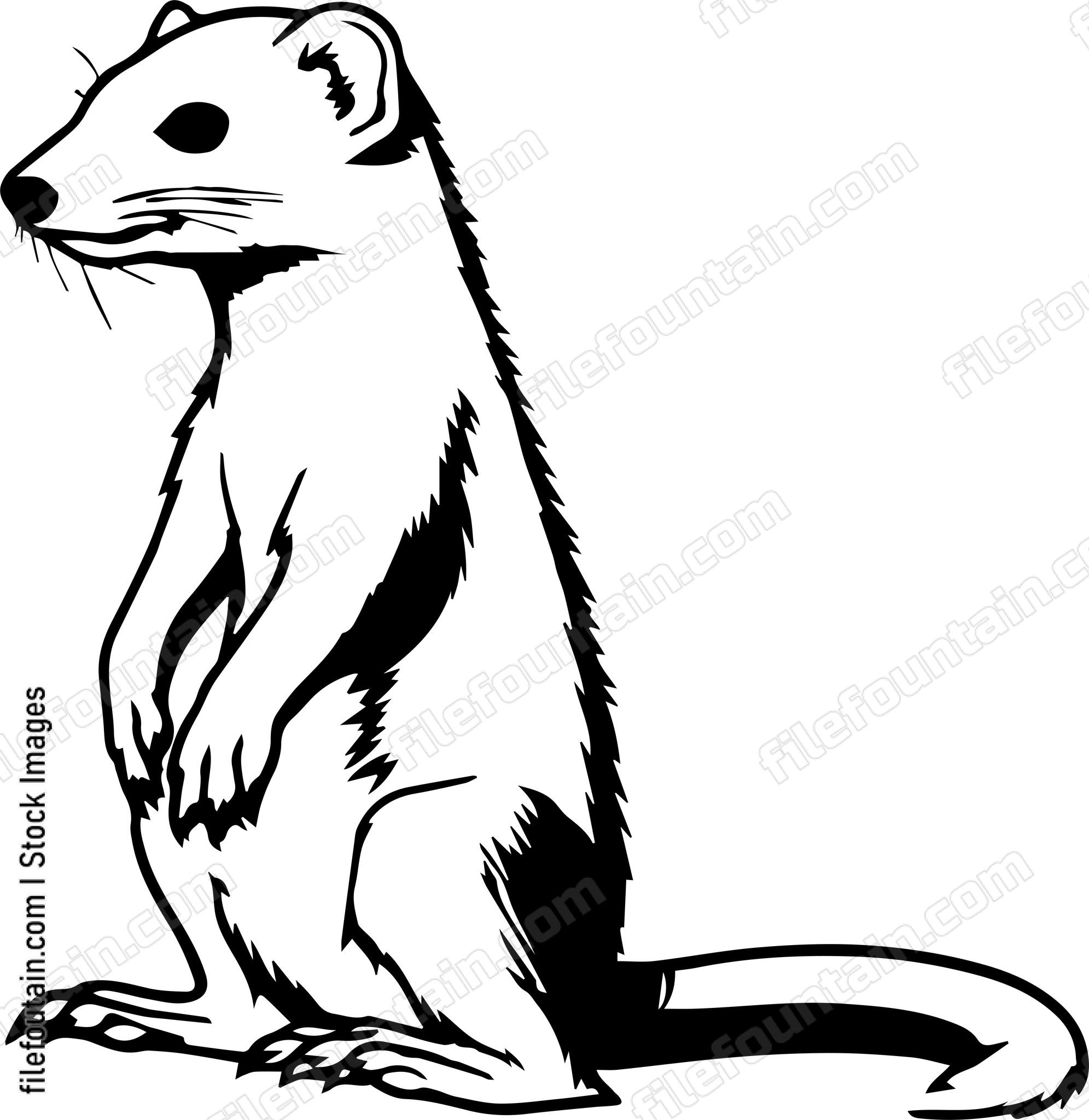Weasel