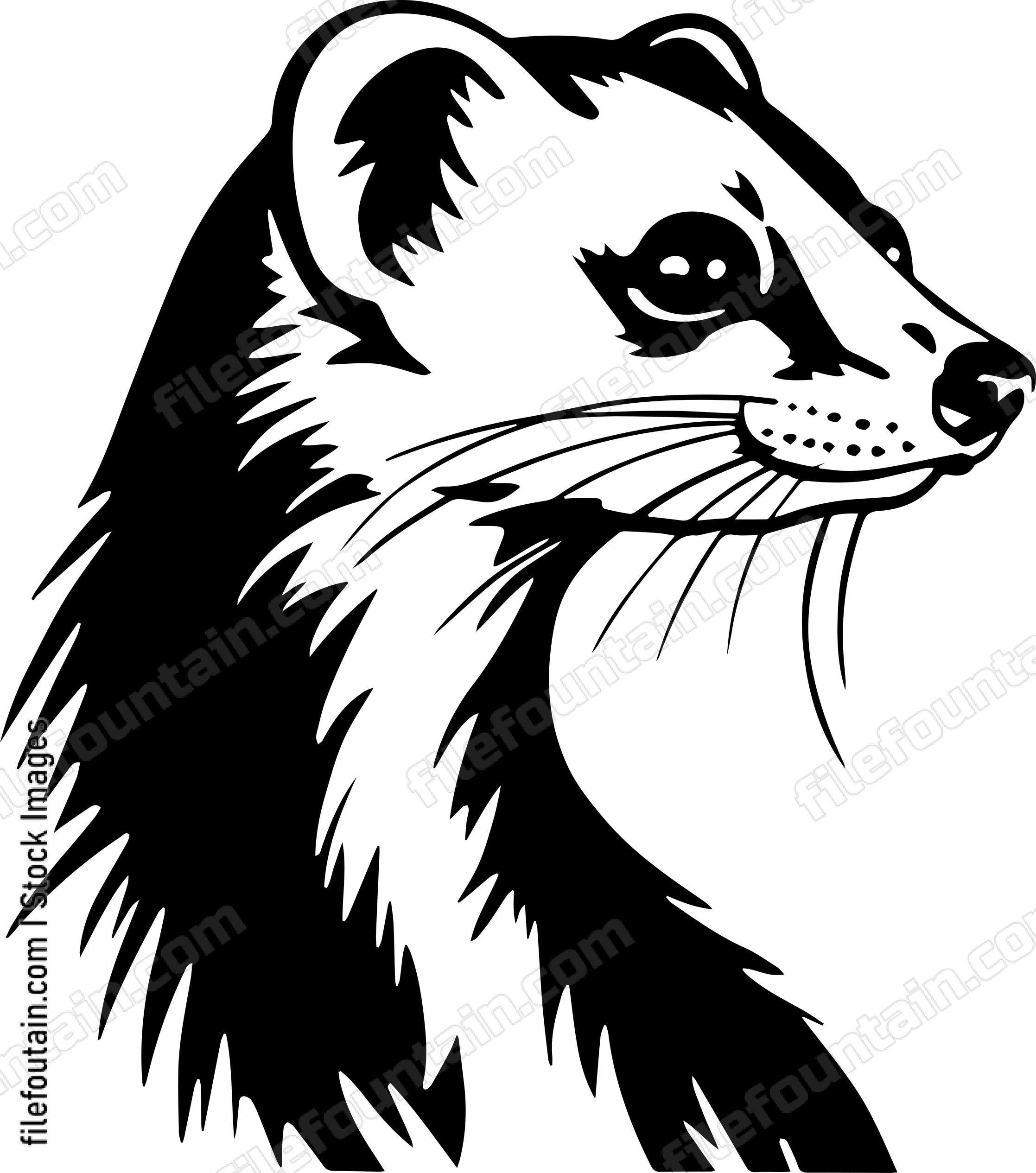 Weasel