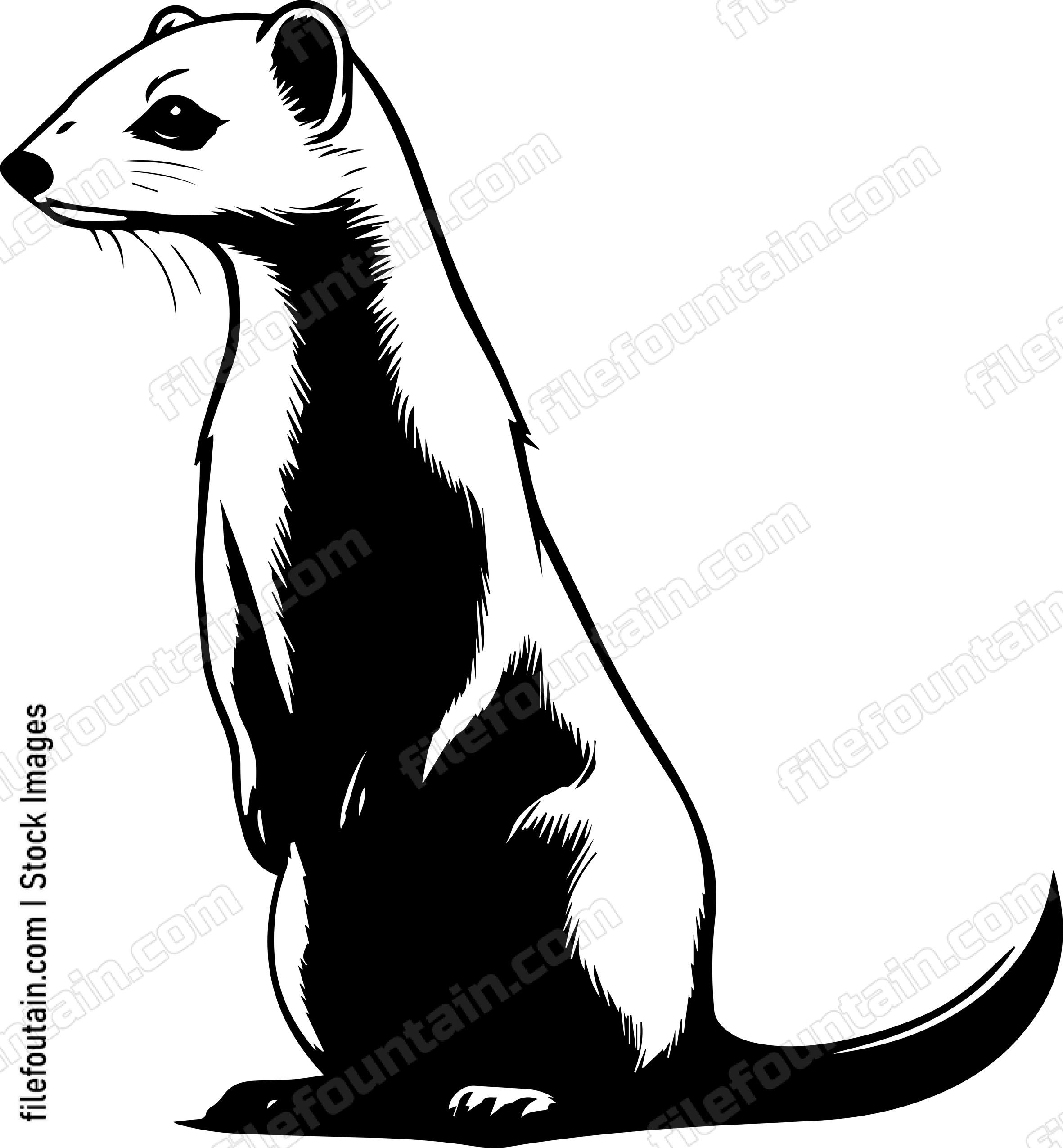 Weasel