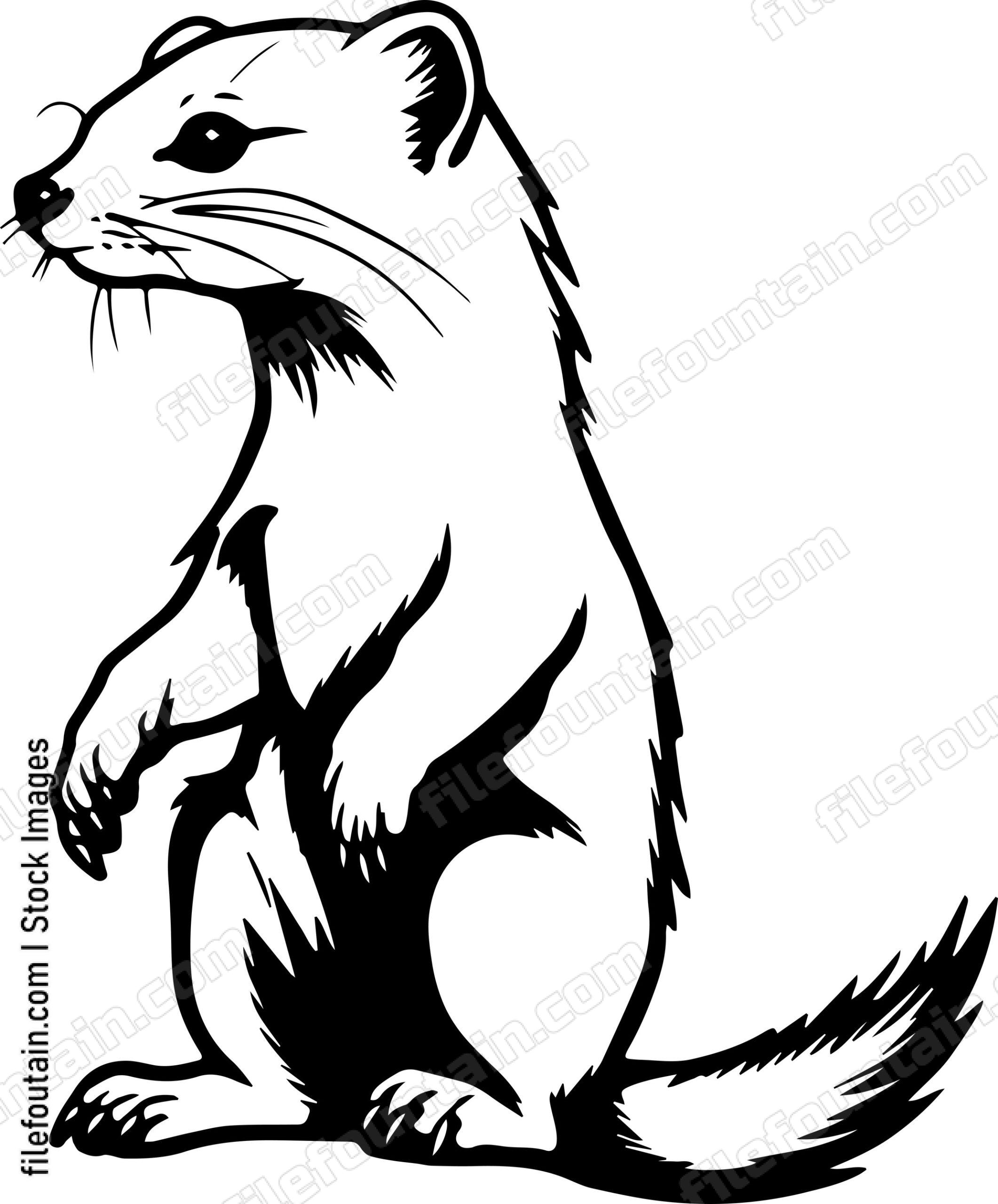 Weasel