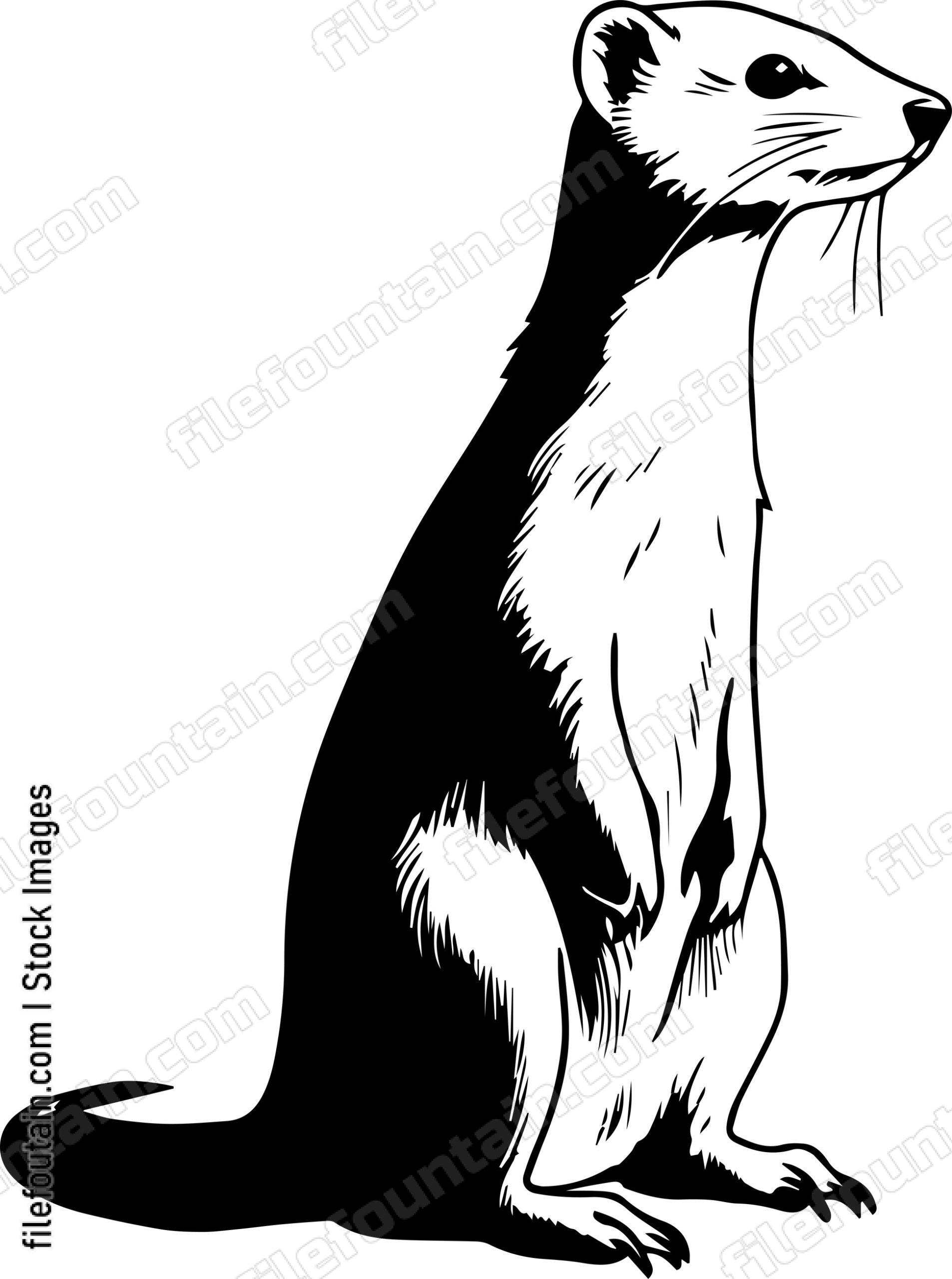 Weasel