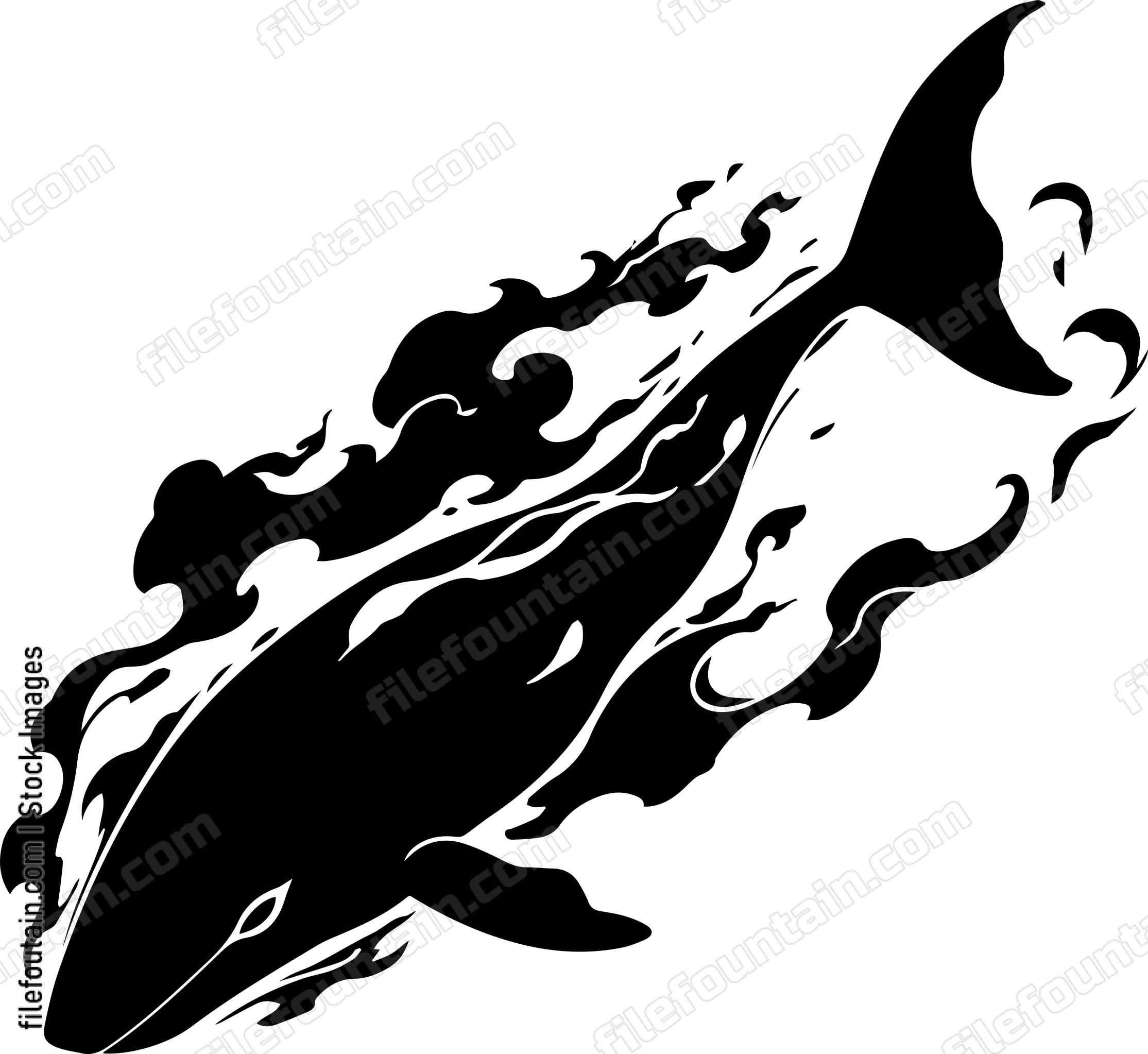 whale