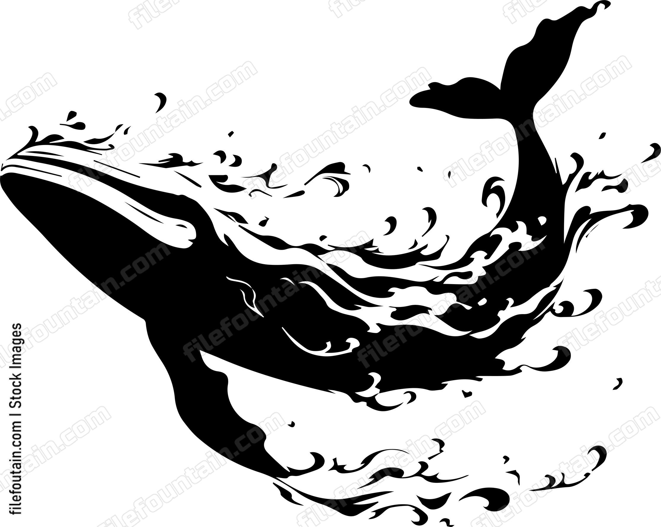 whale