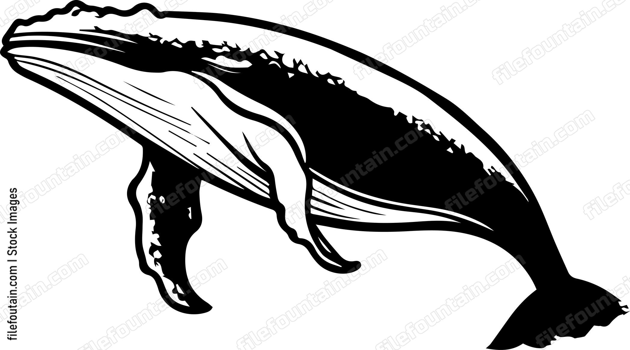 whale