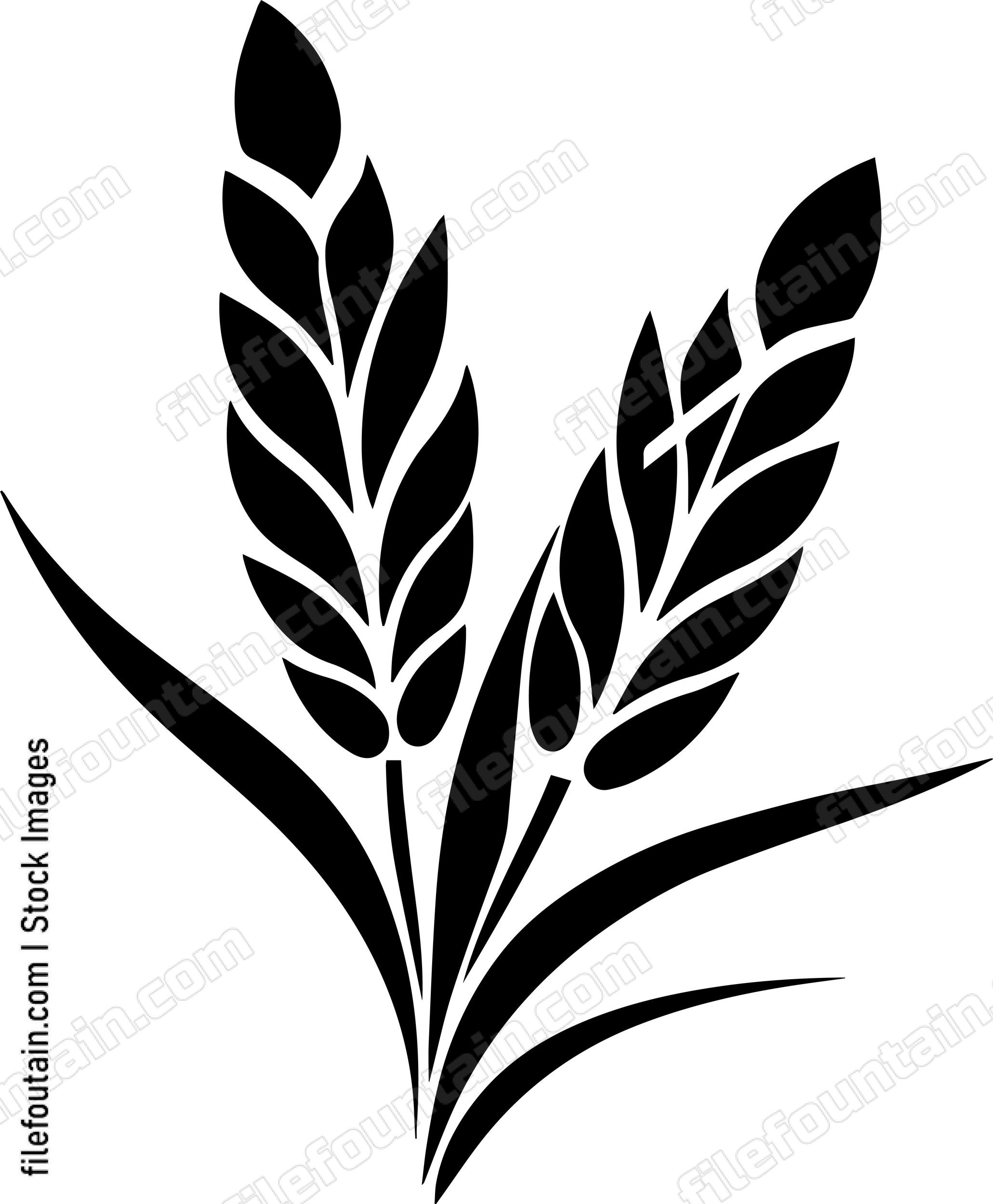 Wheat Kernel