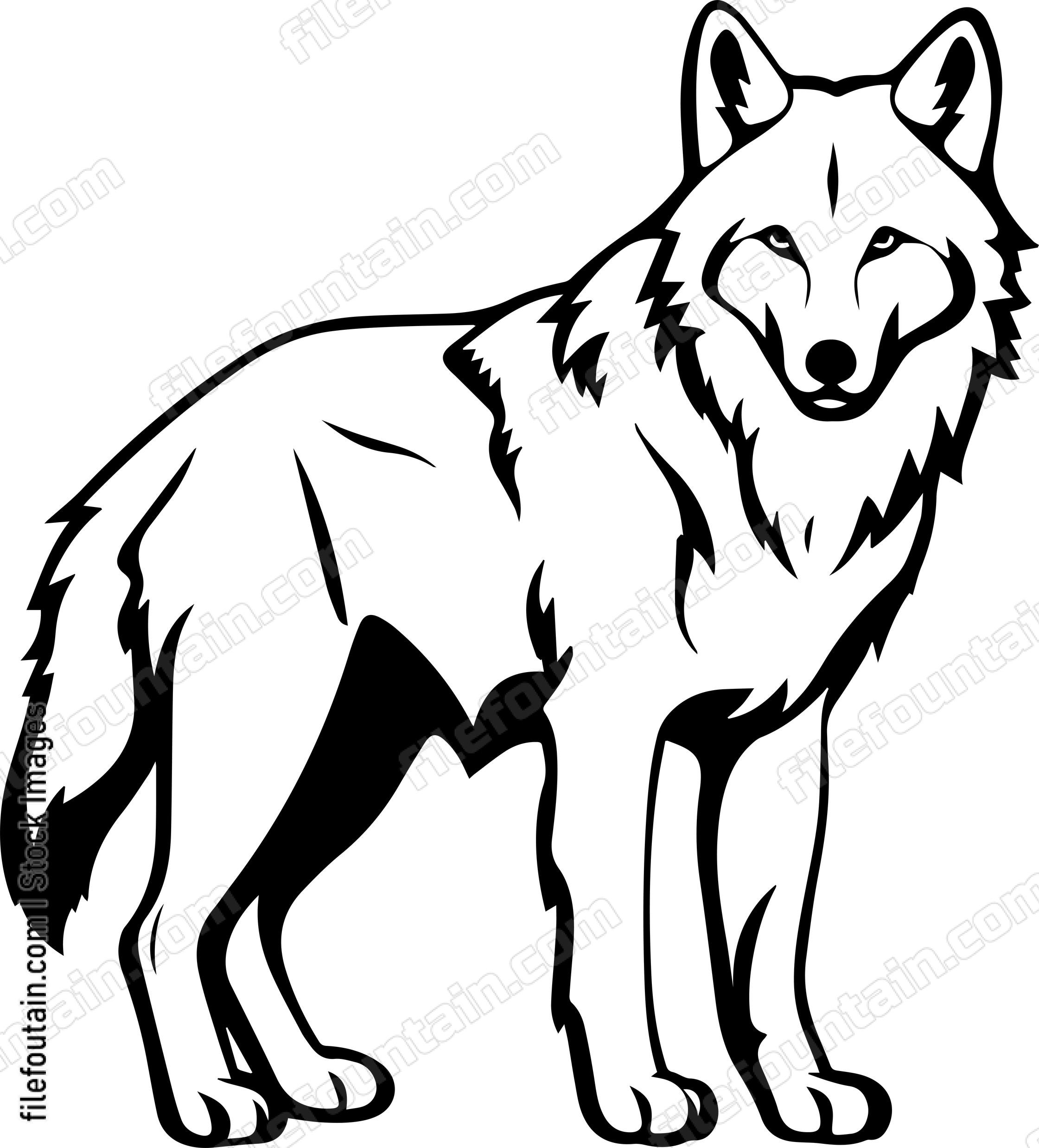 Wild Wolf