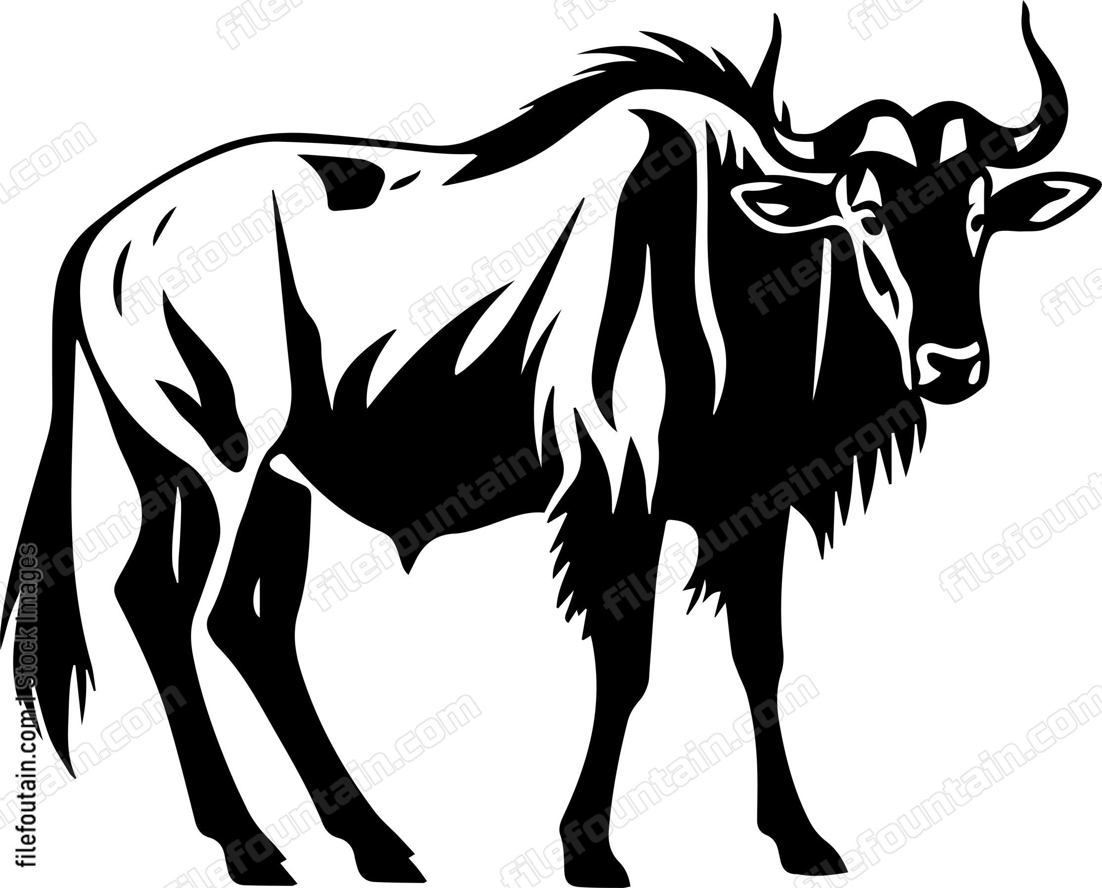 Wildebeest