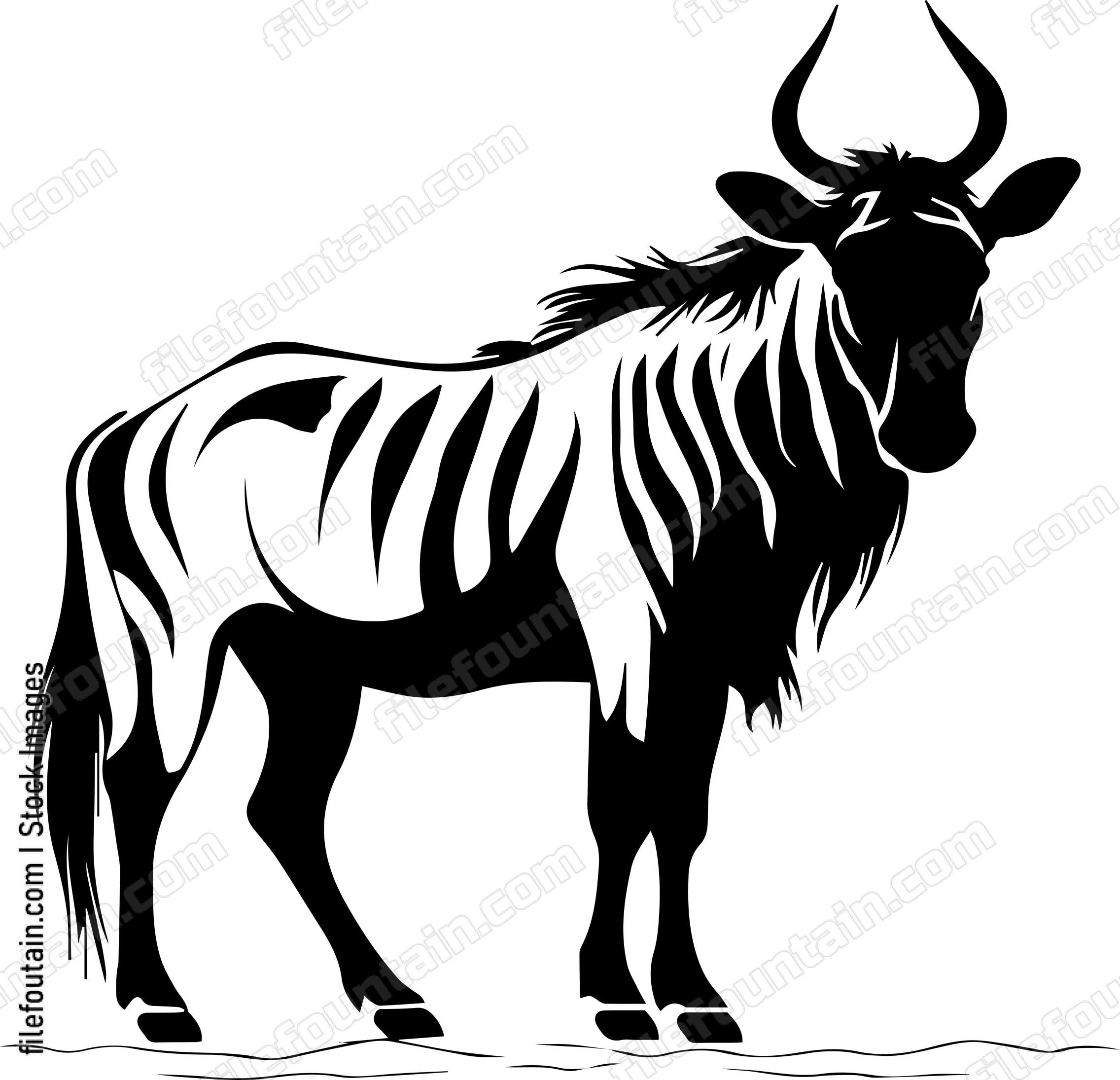 Wildebeest