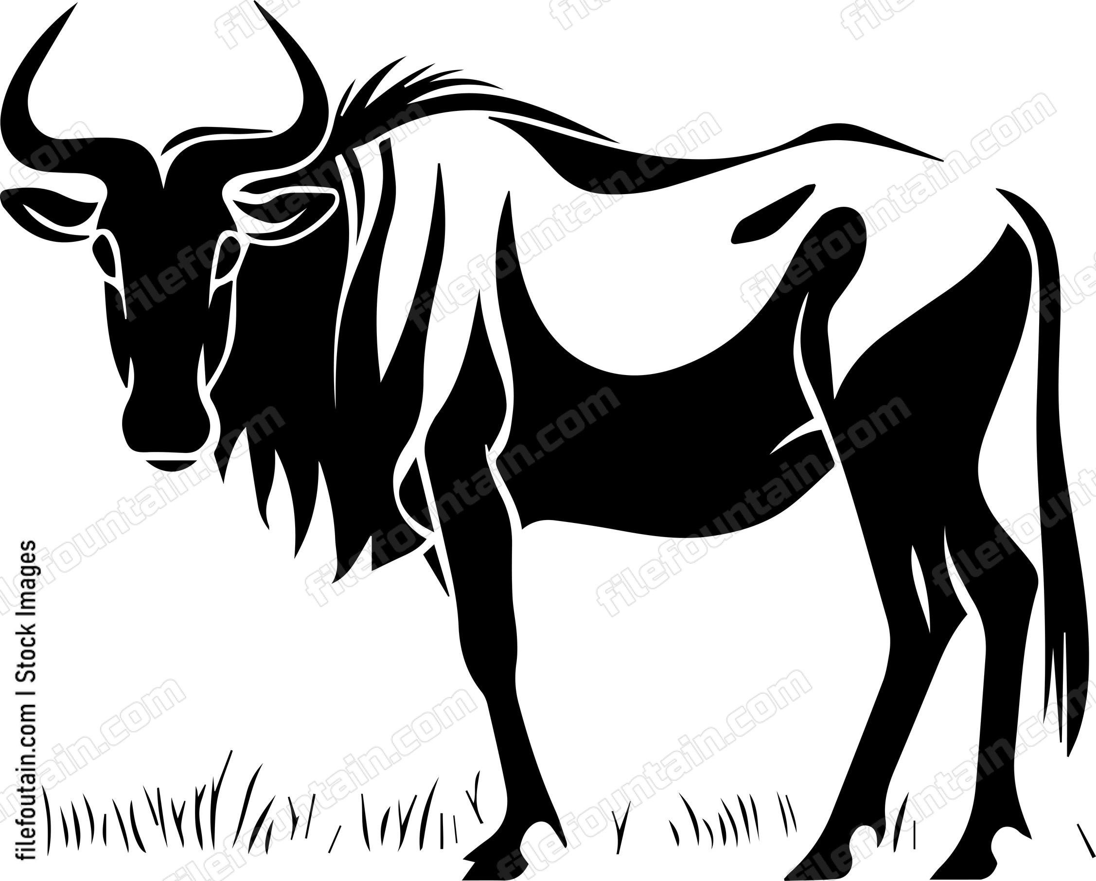 Wildebeest