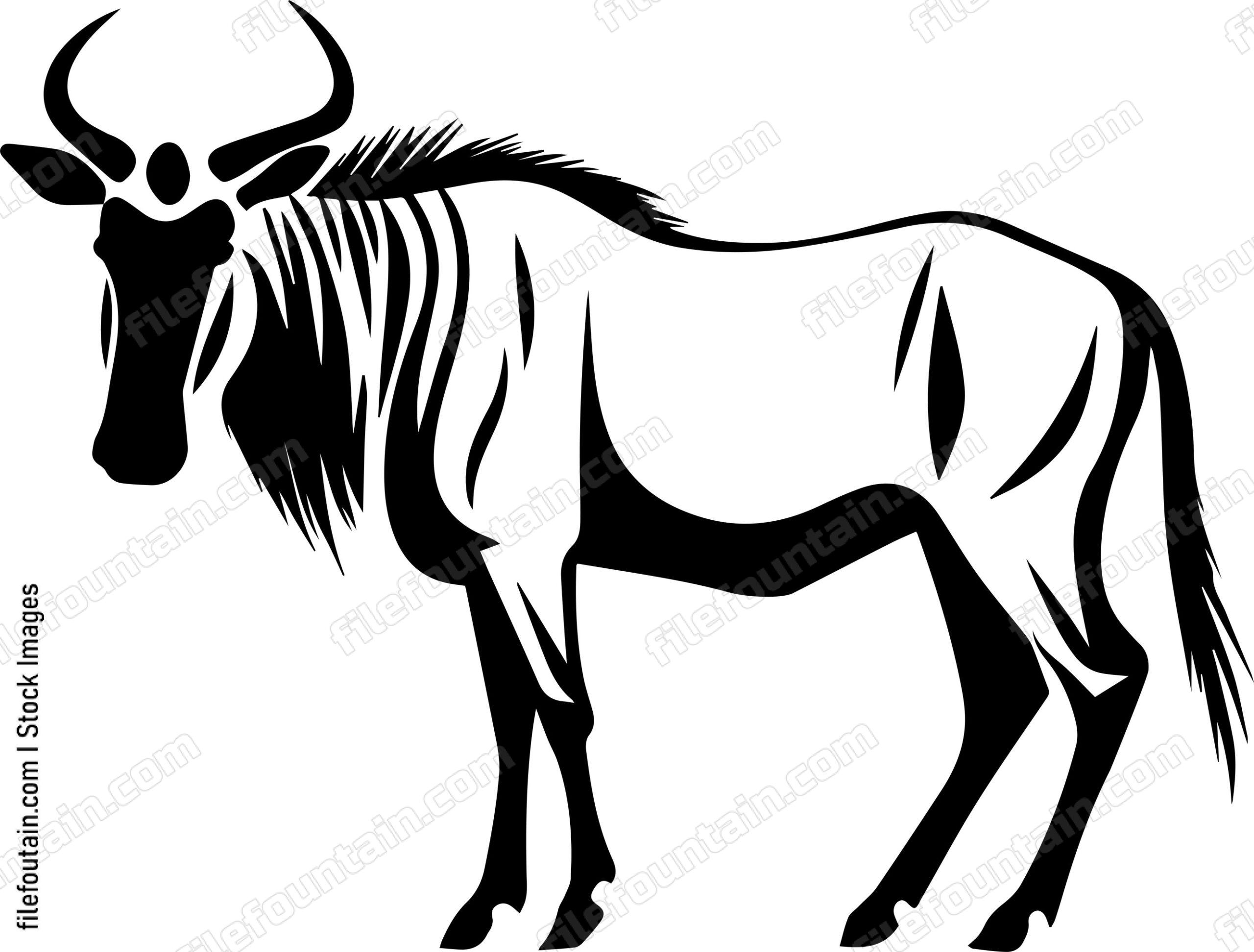 Wildebeest