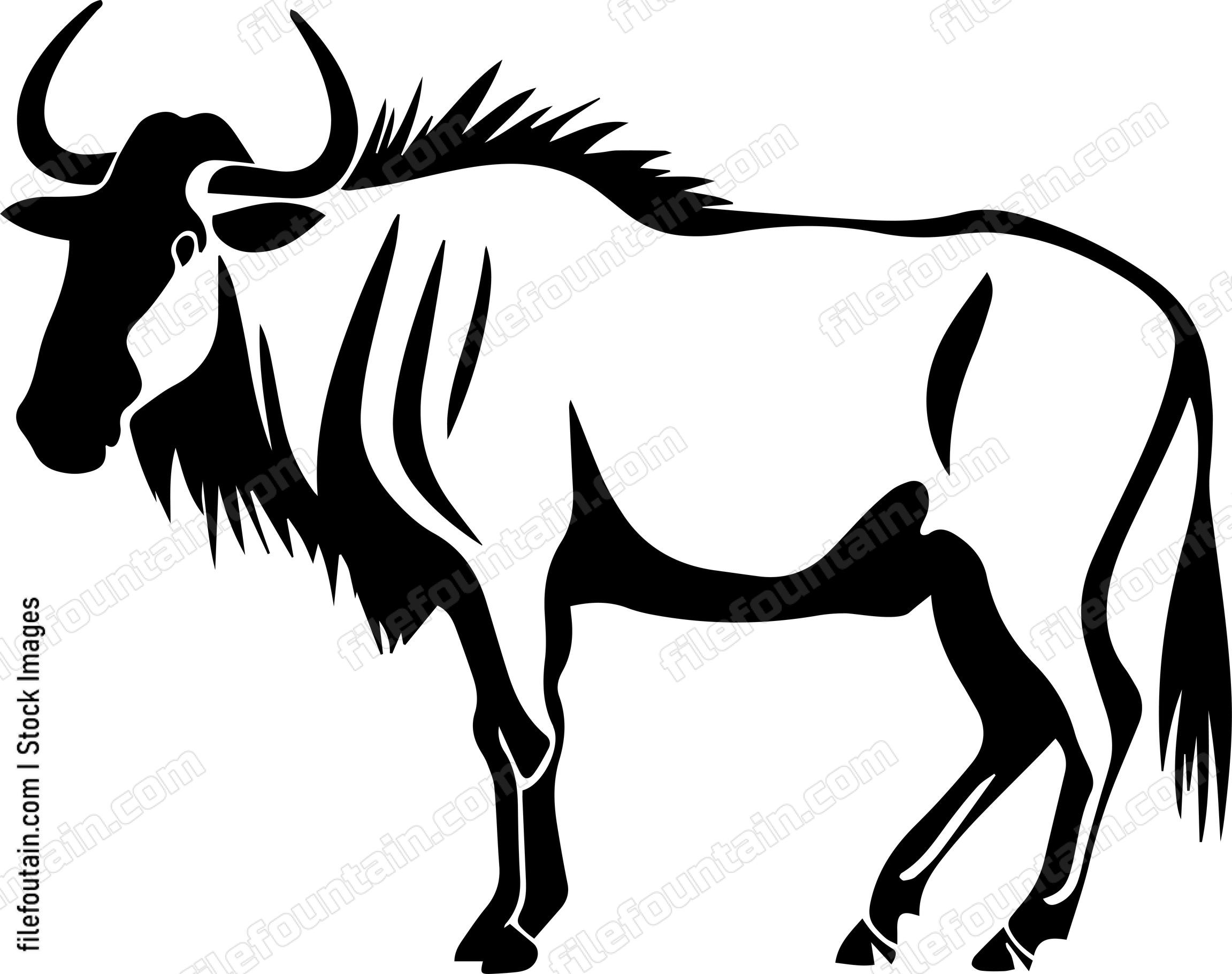 Wildebeest