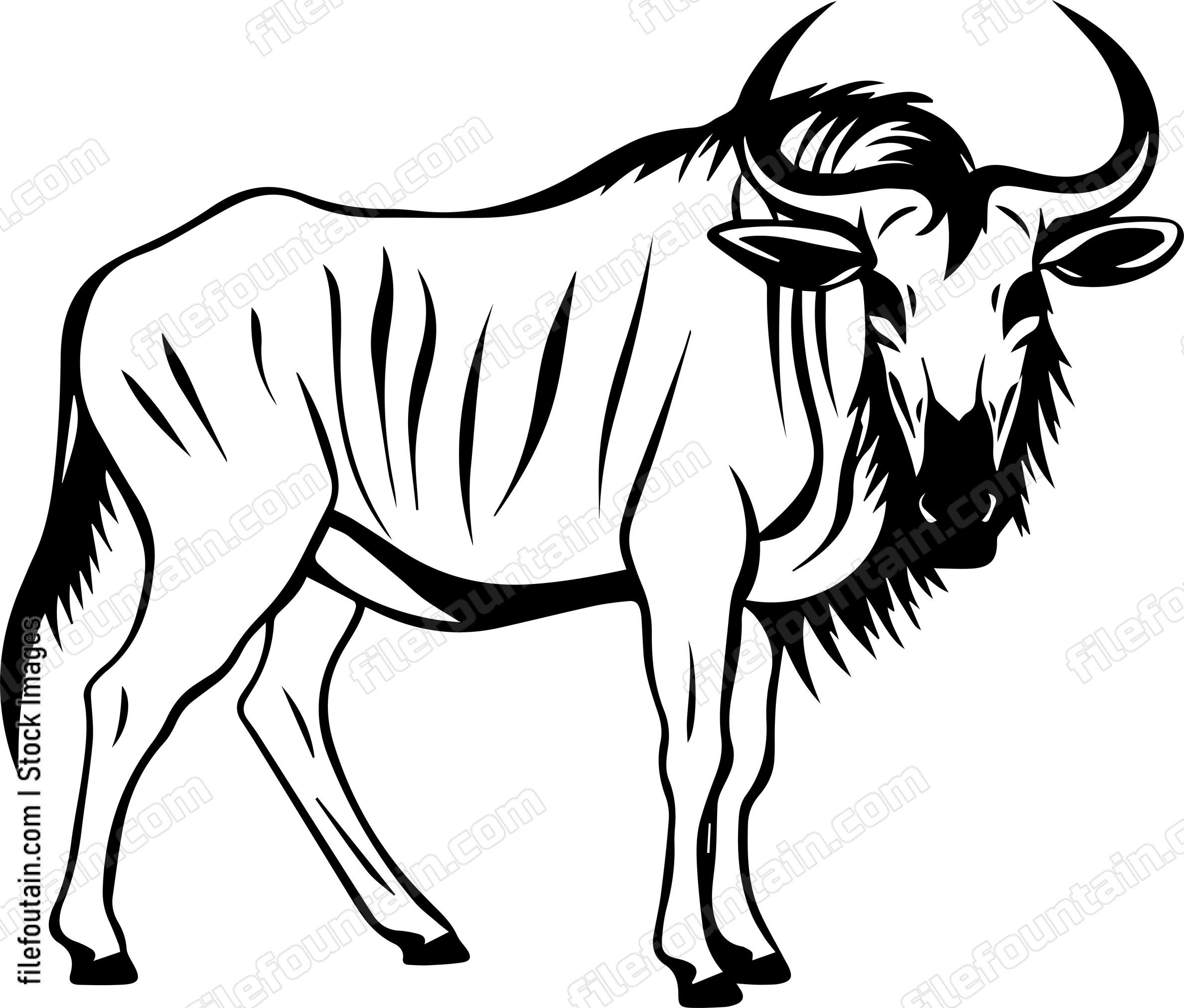 Wildebeest