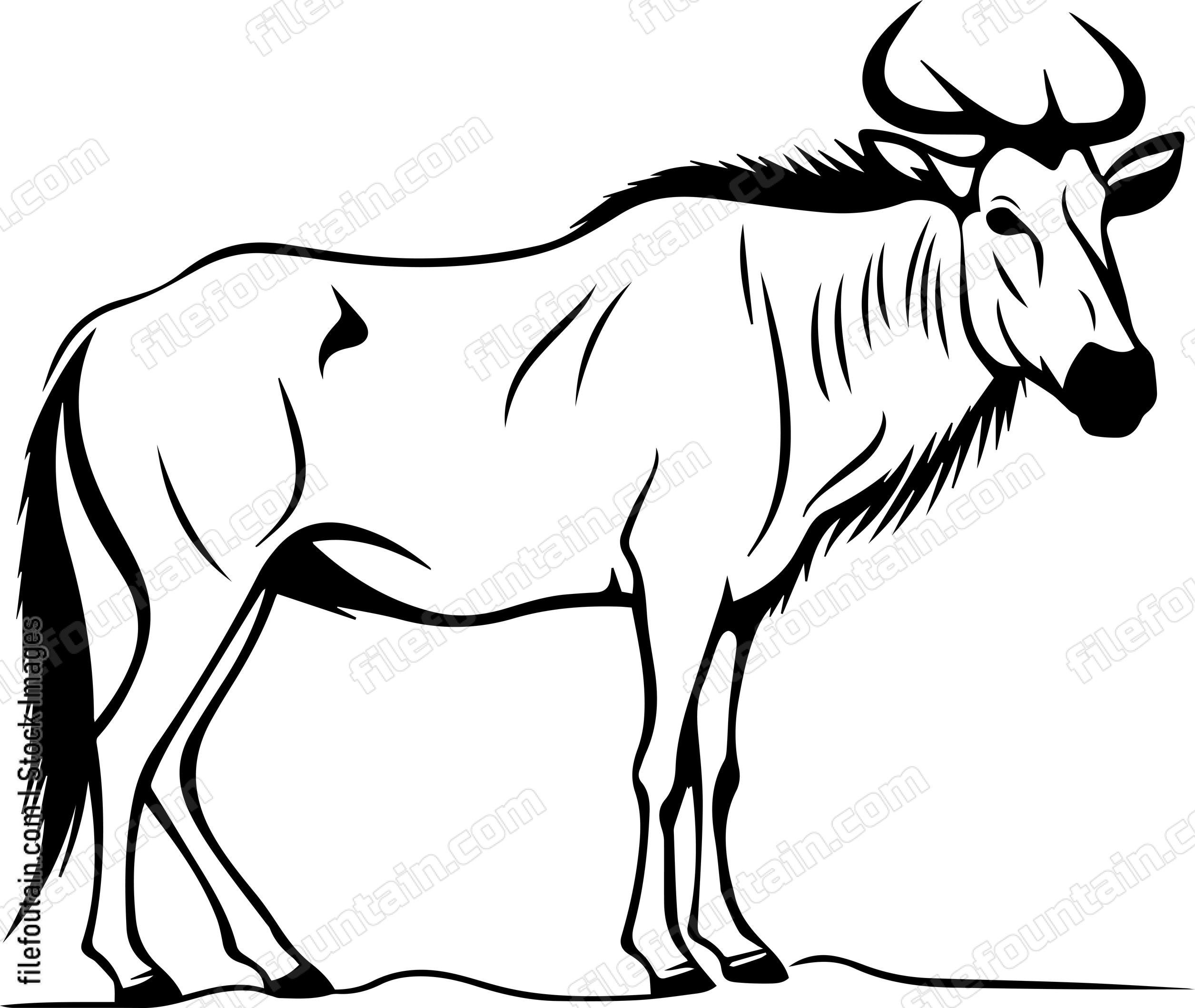 Wildebeest