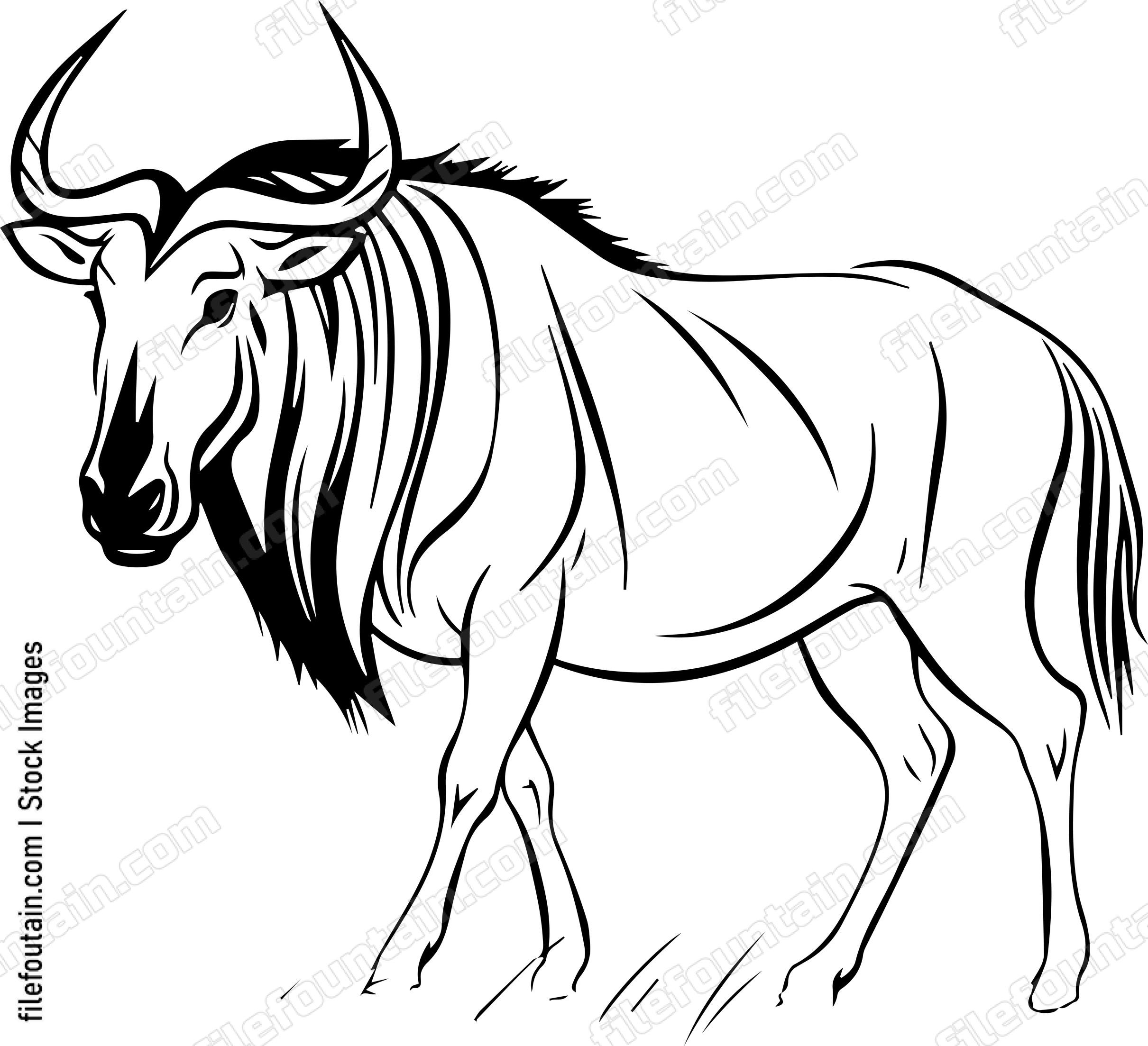 Wildebeest
