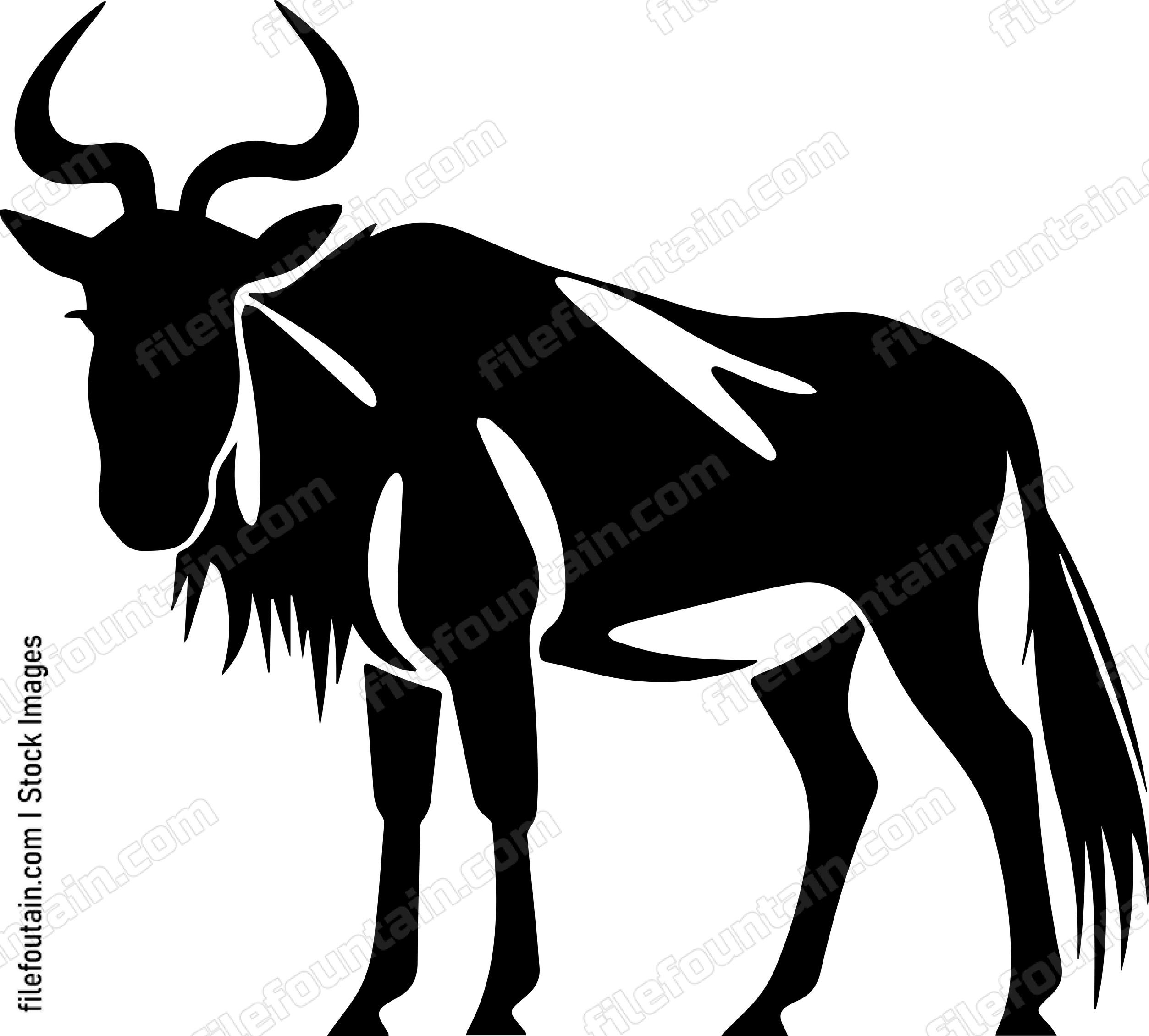 Wildebeest