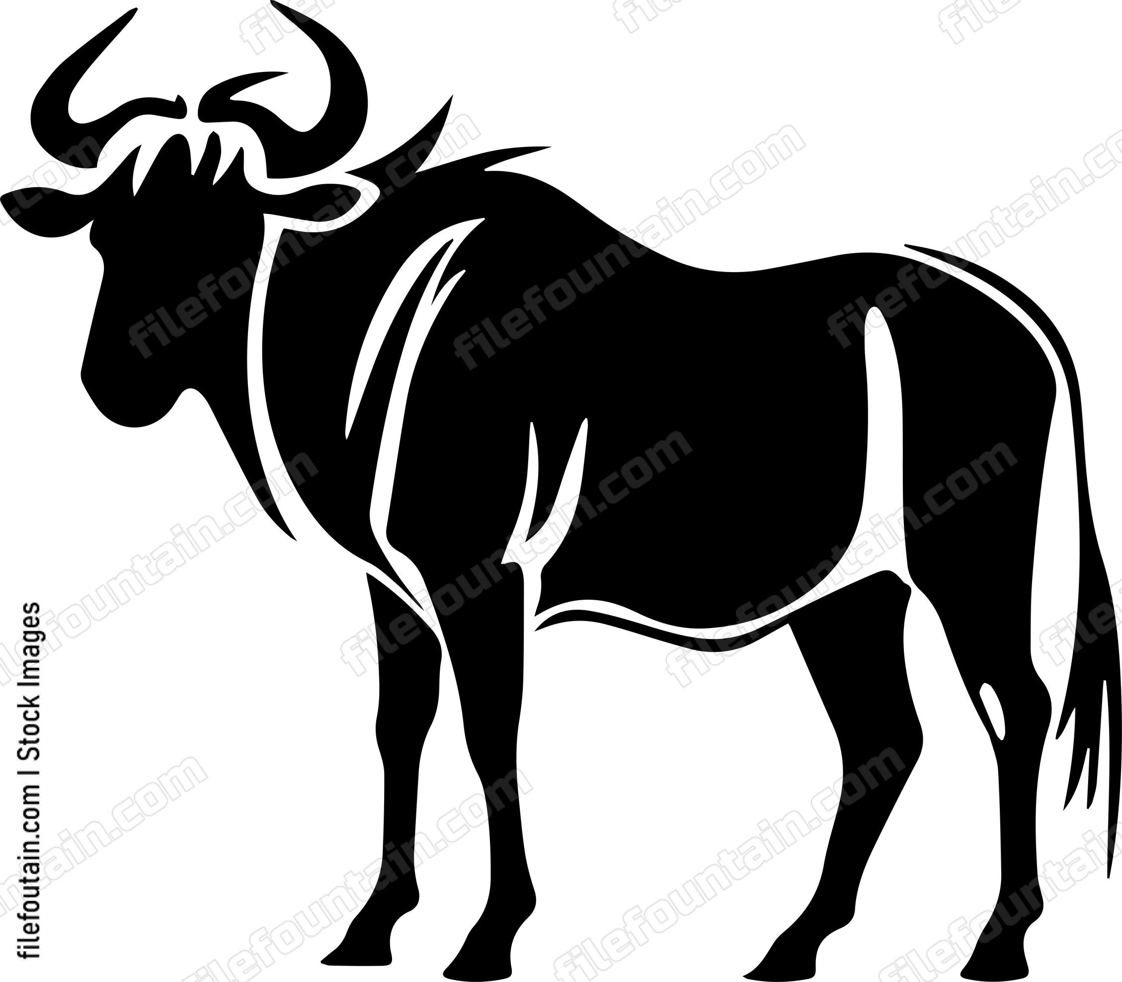 Wildebeest