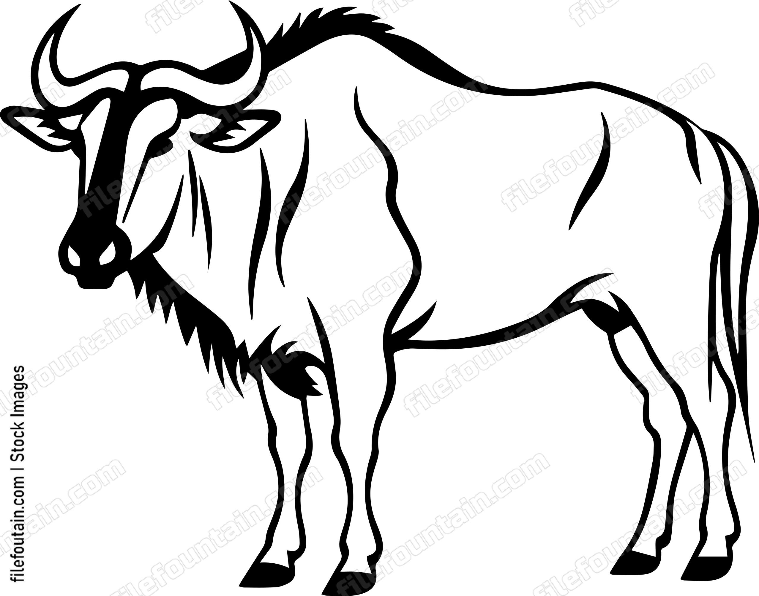 Wildebeest