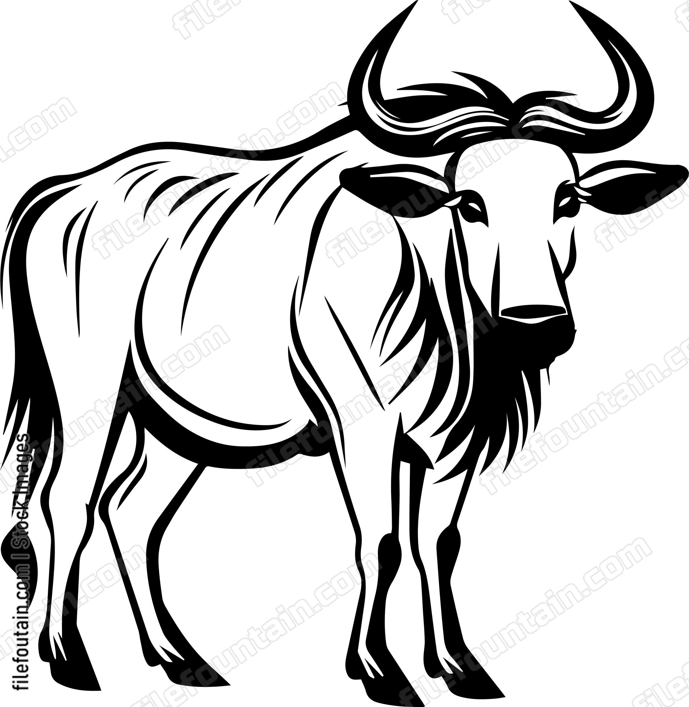 Wildebeest