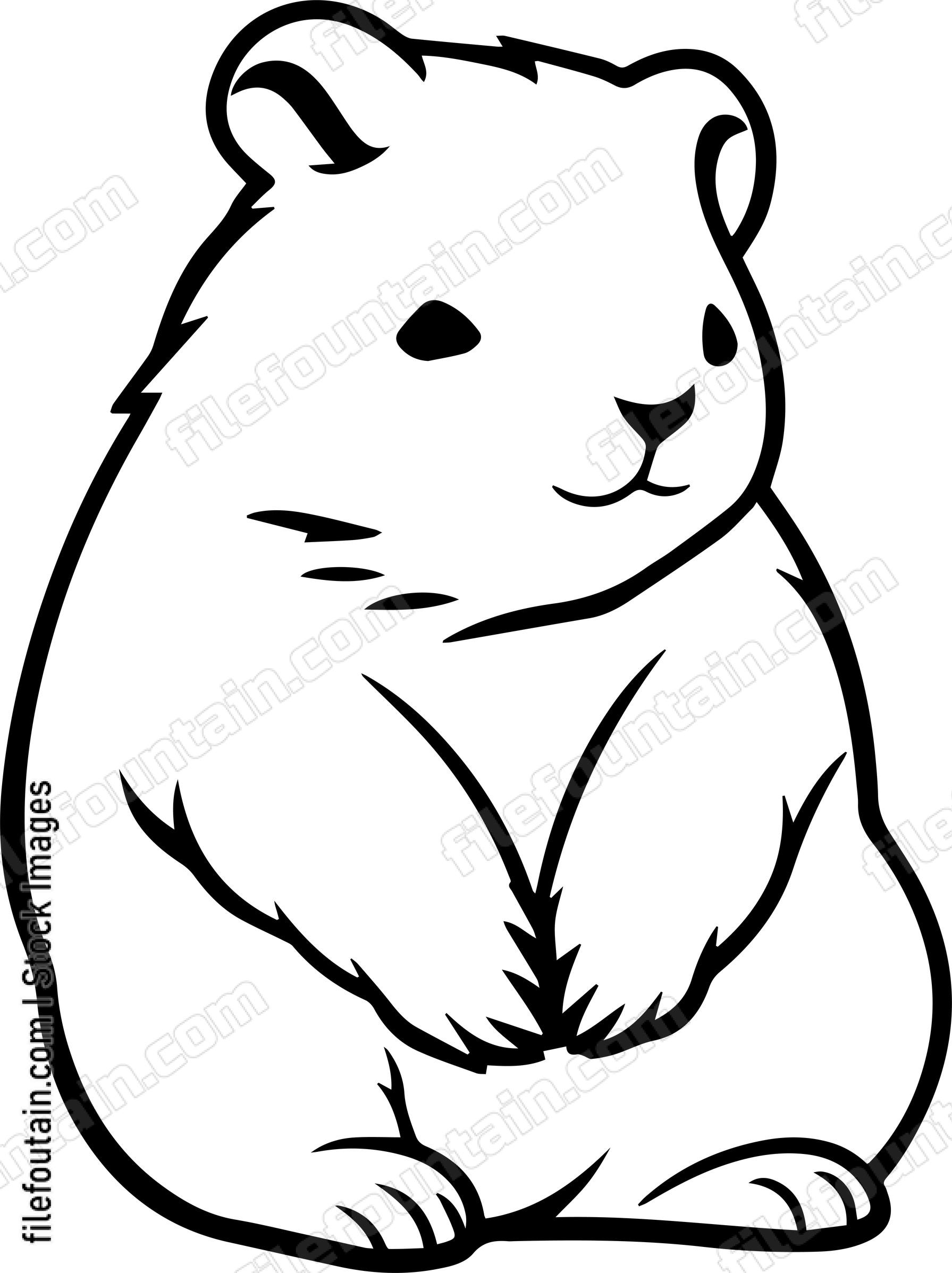 Wombat