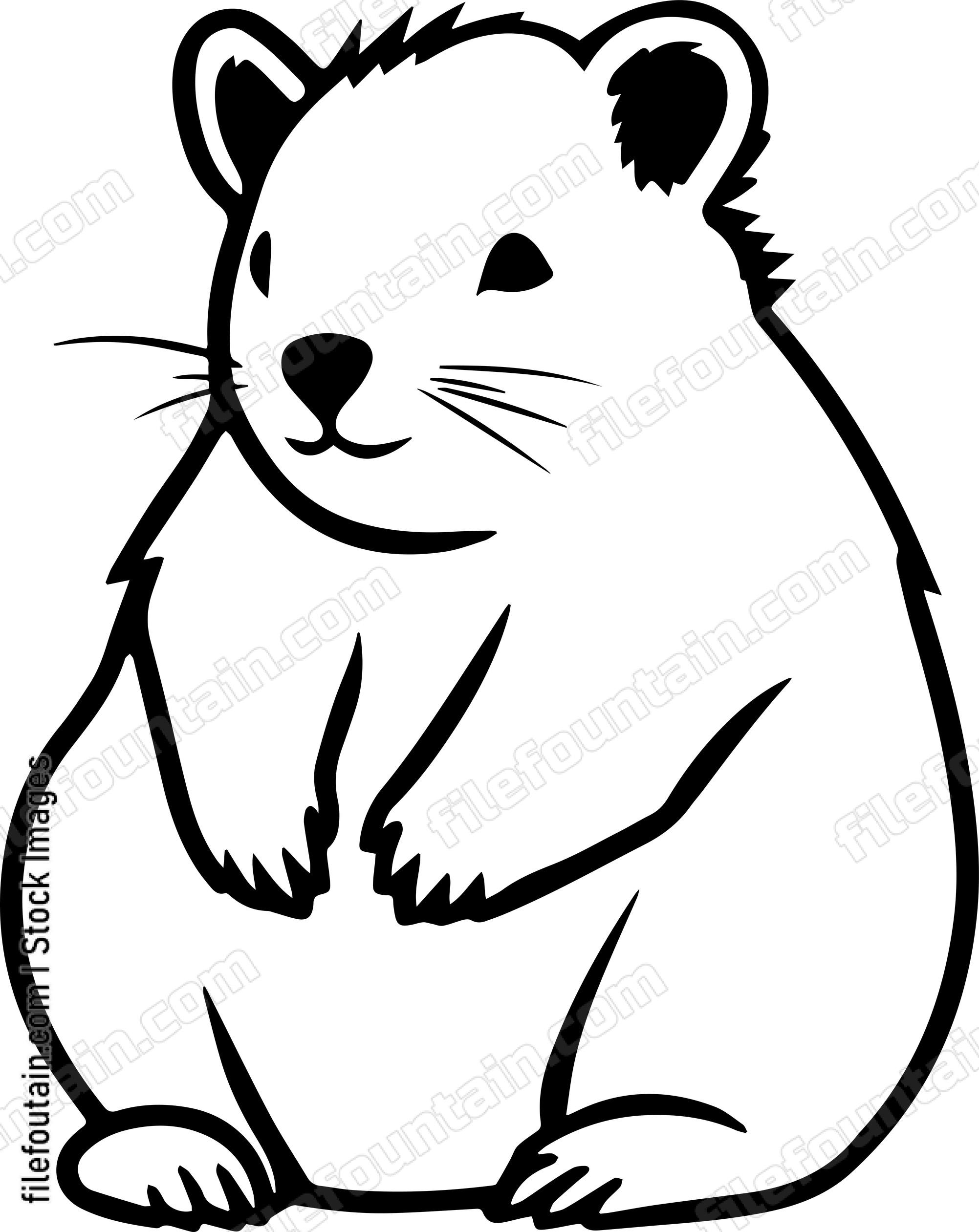 Wombat